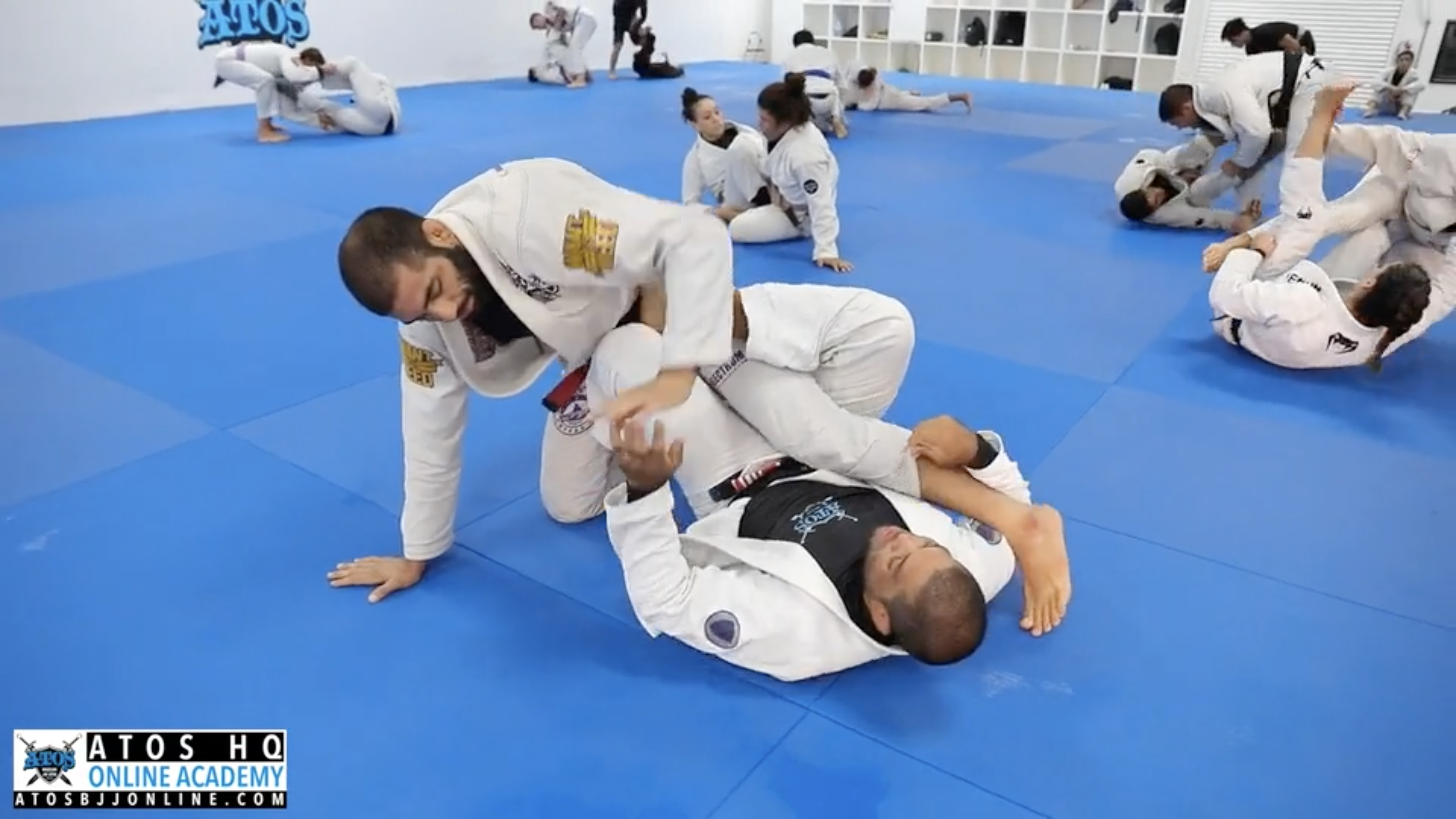 Andre Galvao vs Nisar Loynab