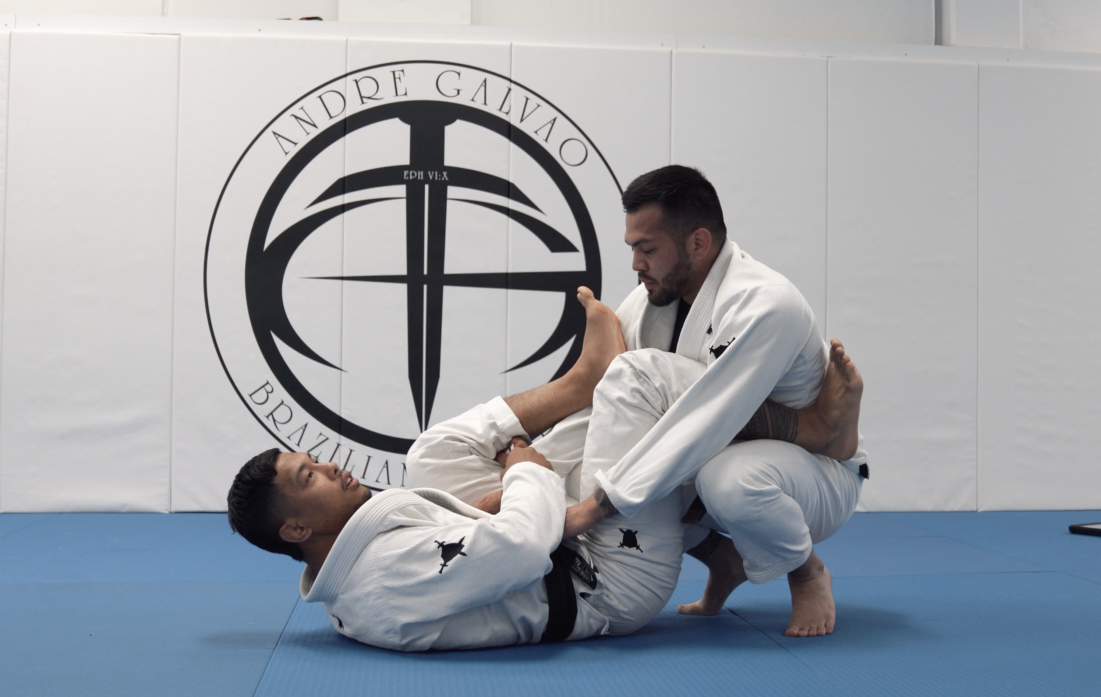 Tarantula Guard From Lasso