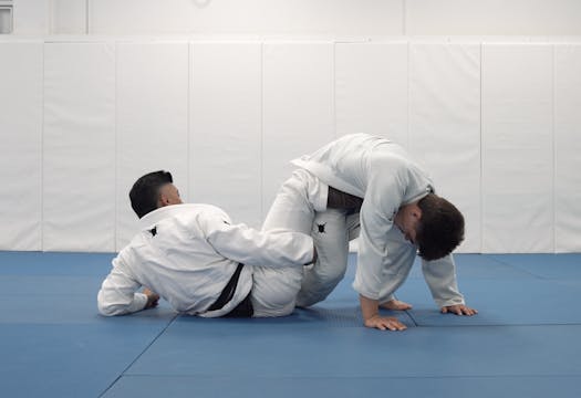 Worm Guard Sweep