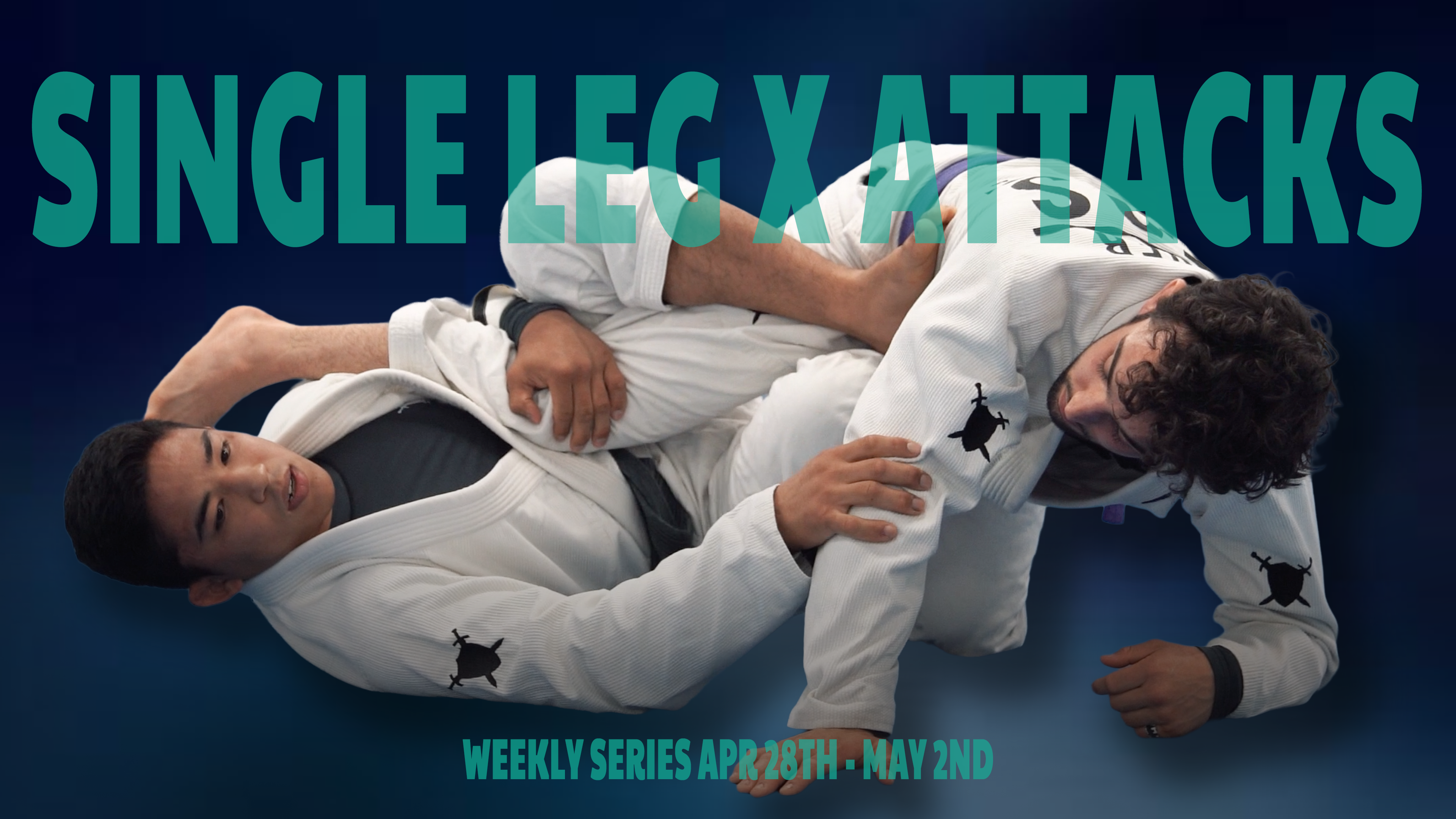 Single Leg X Attacks