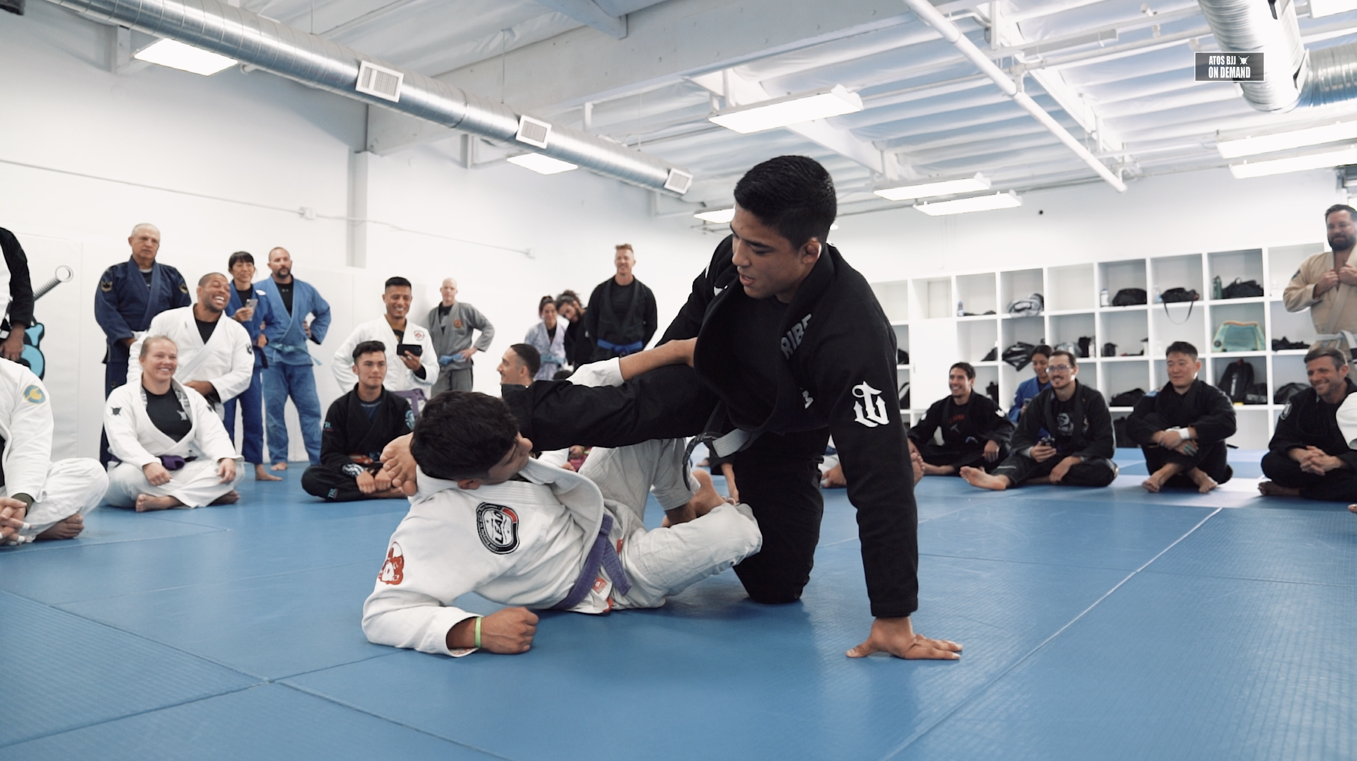 Q&A by Andy Murasaki At 2024 BJJ Fanatics Camp