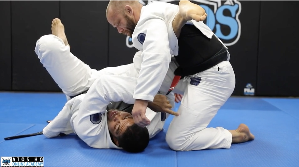 Polish Reverse DLR Worm Guard Sweep & Back Attack