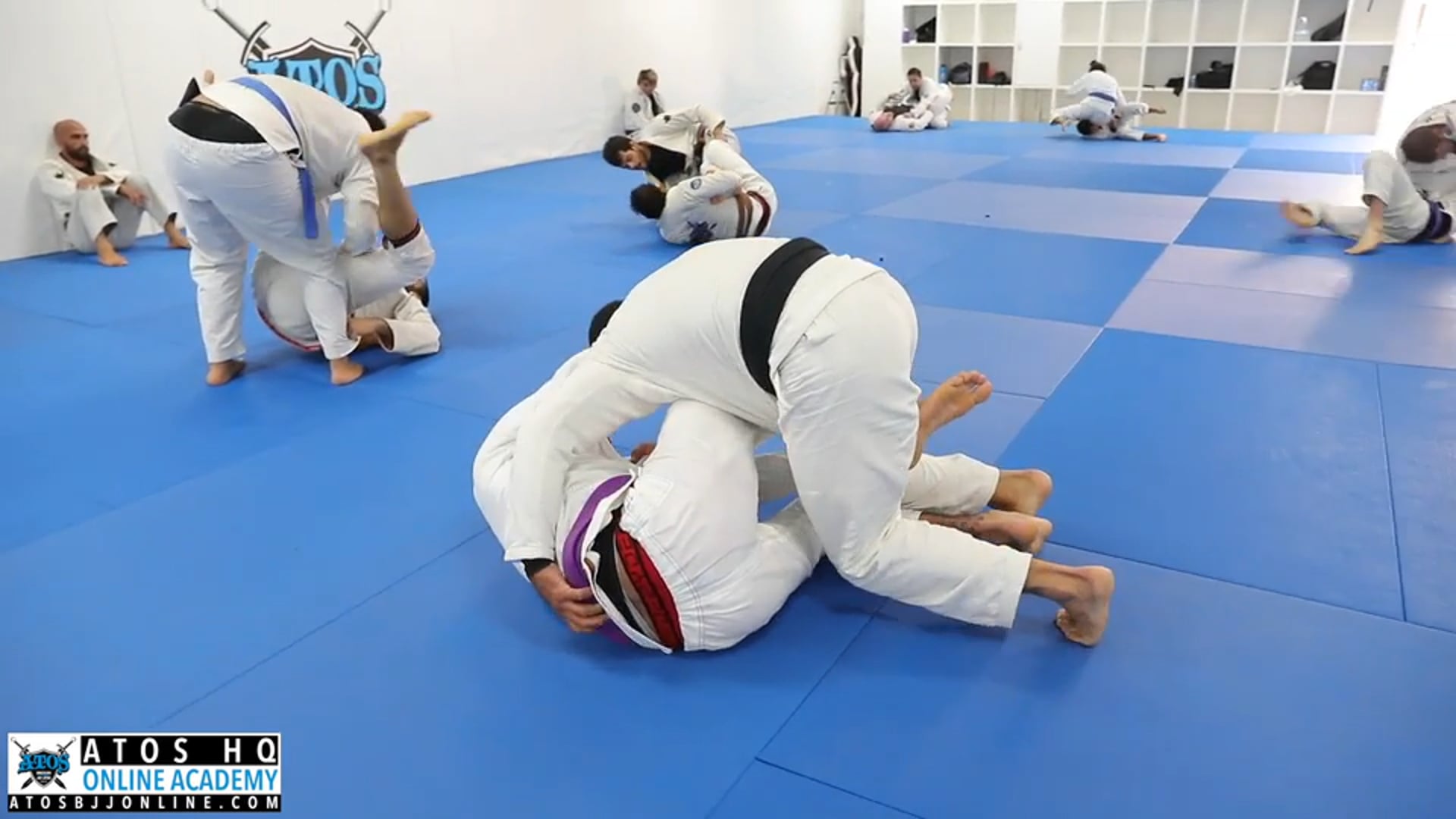 Professor Andre Galvao rolling with his purple belt student Calon Sabino