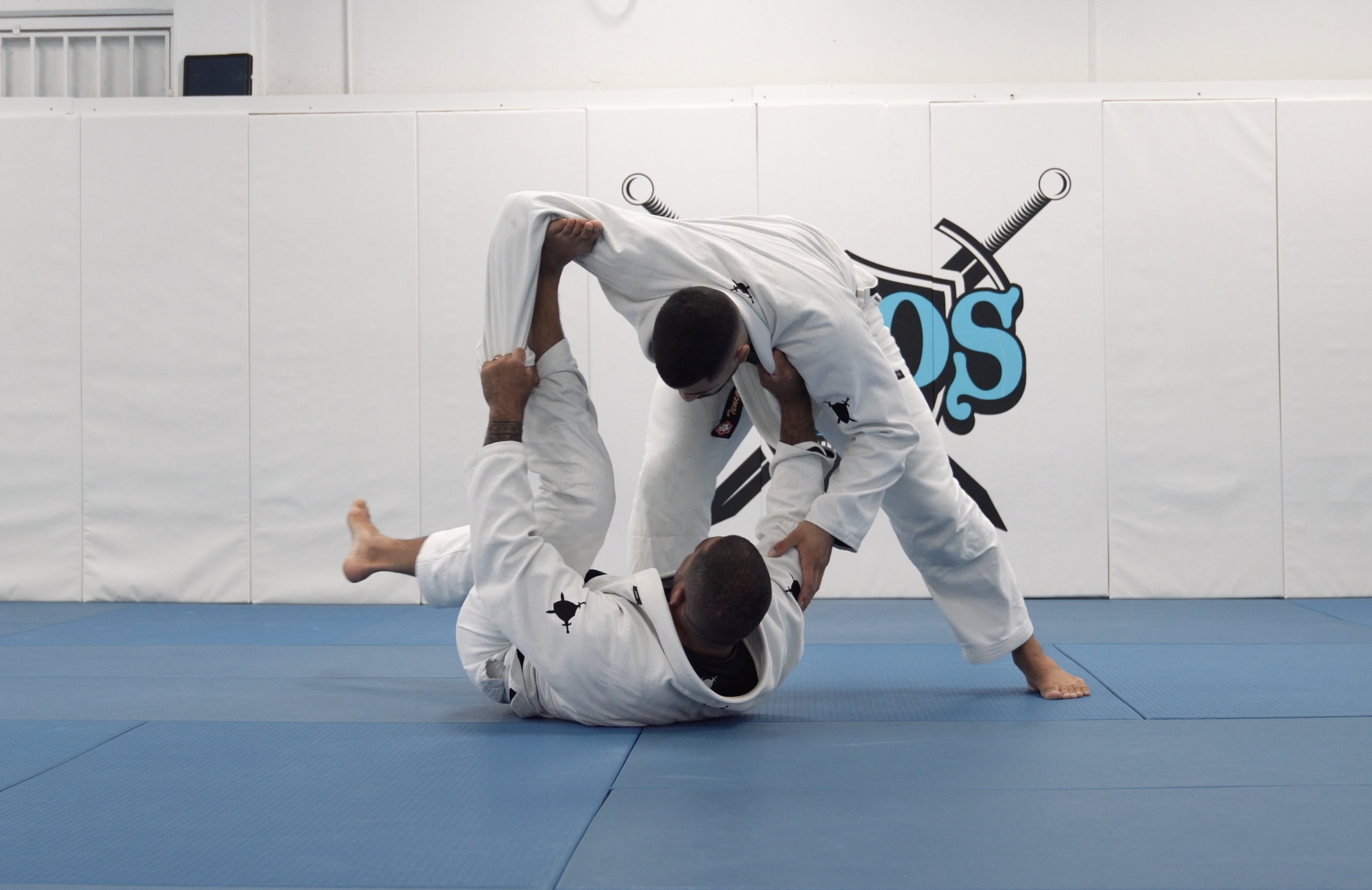 Tarantula Guard Sweep | Part 5