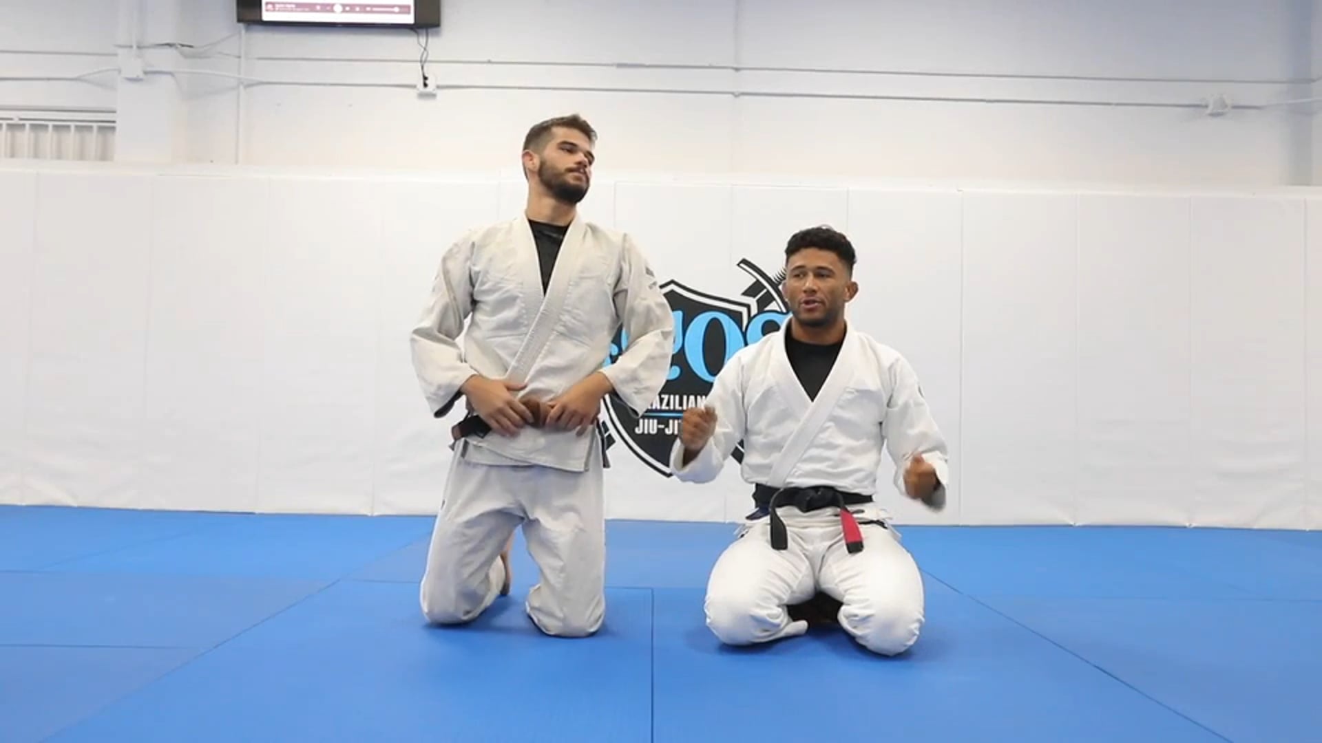 Tarantula Guard Sweep to Ankle Lock 
