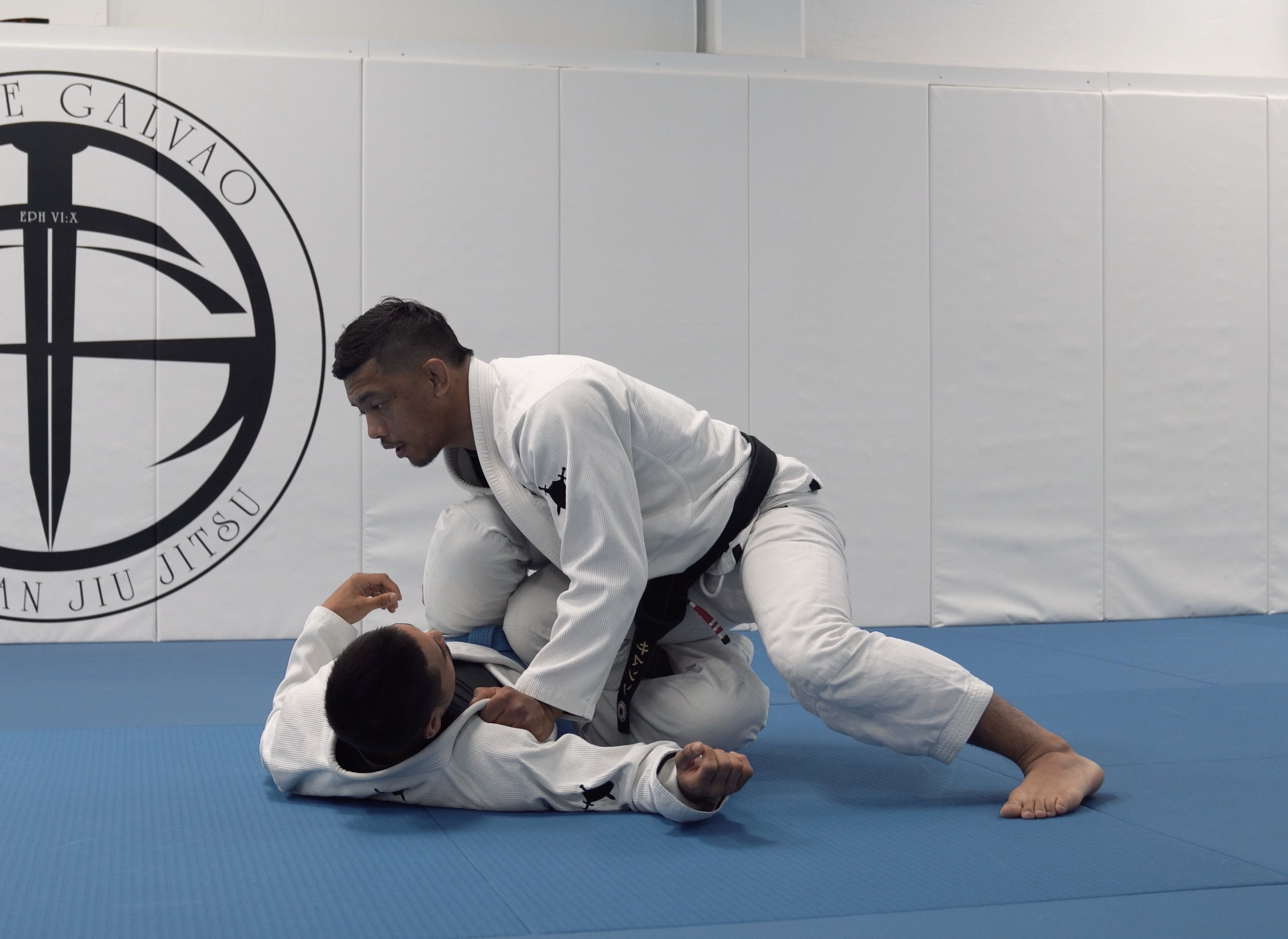 Passing Knee Shield Concepts