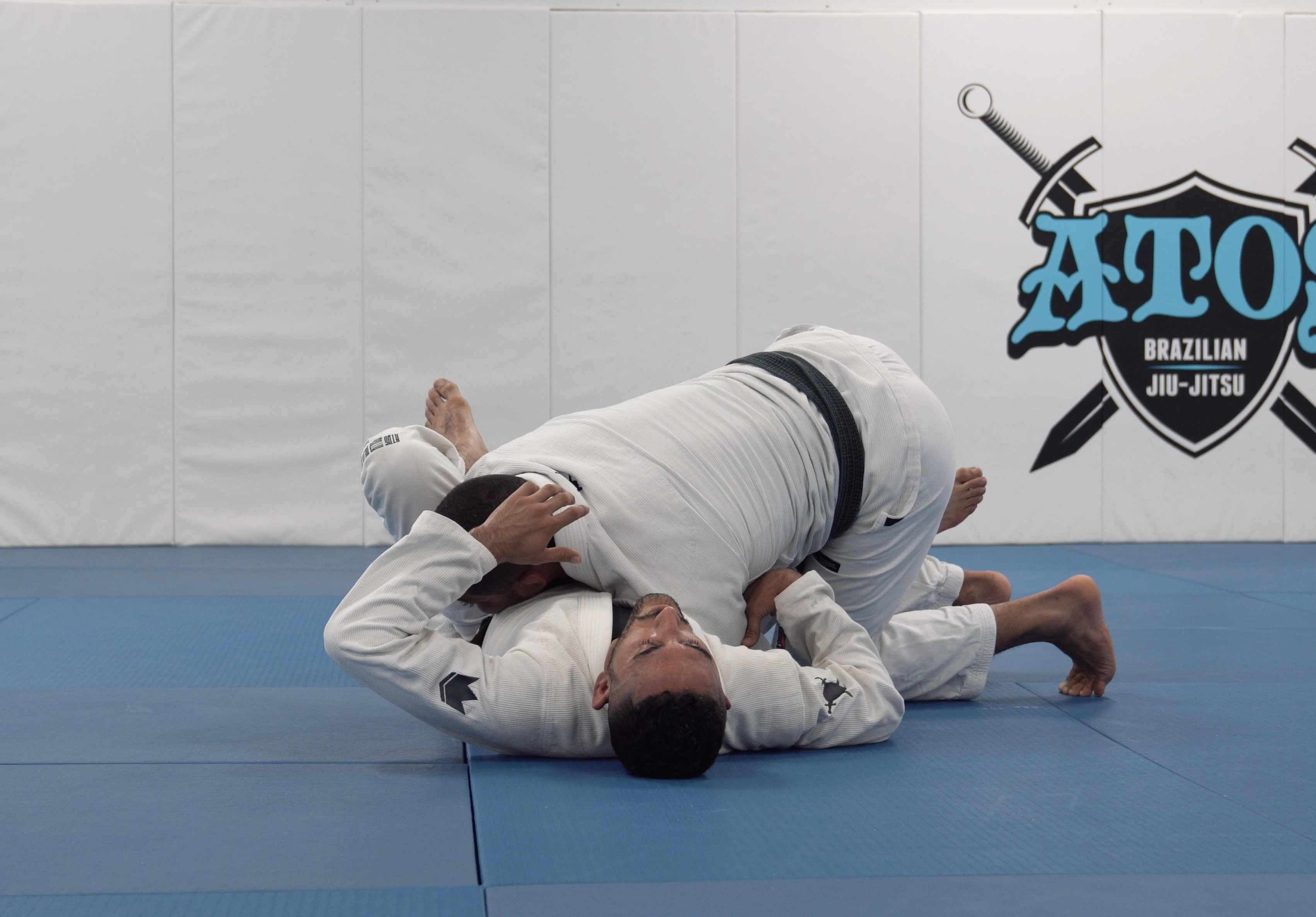 Tarantula Guard Reverse DLR Attacks | Part 2
