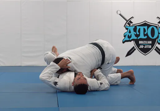 Tarantula Guard Reverse DLR Attacks |...