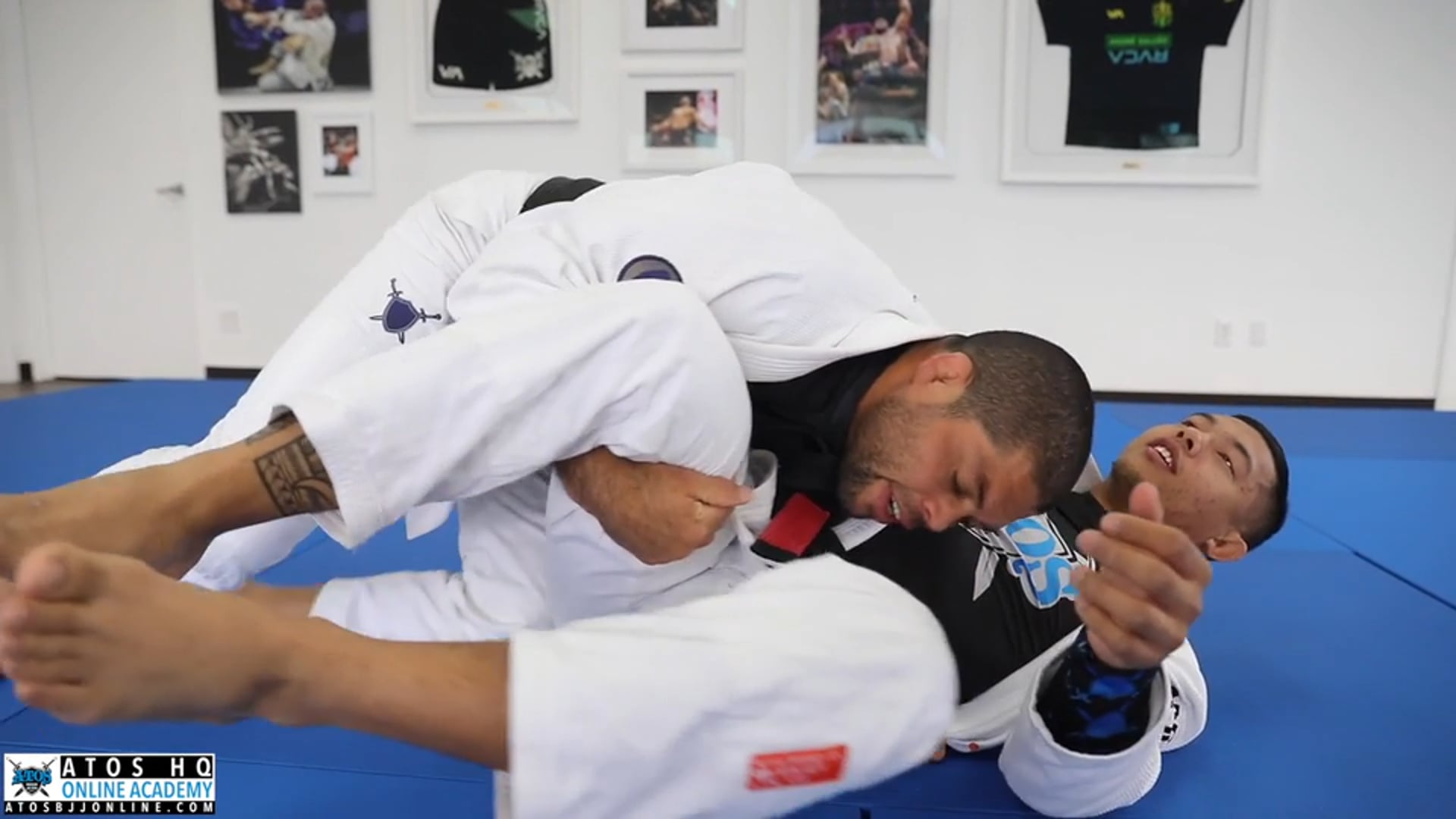 Borboleta: Defending Half Guard Pressure To Back Take & Sweep Options