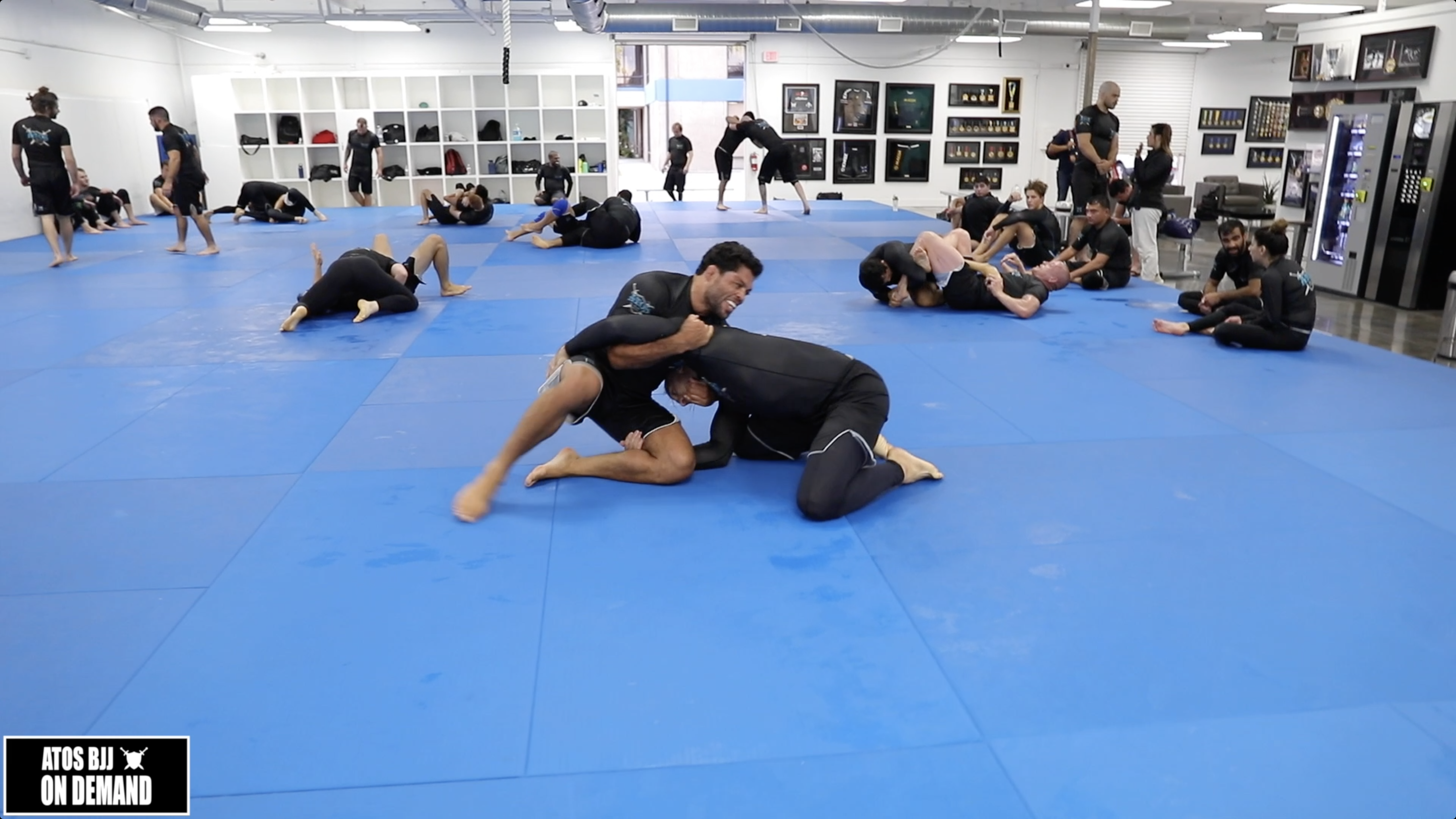 Andre Galvao Sparring With MMA Champion Emilio Sordi 