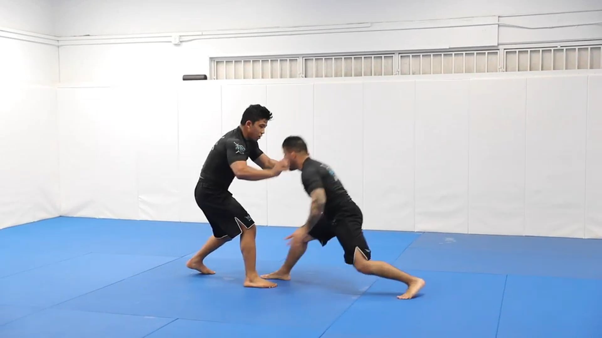 Phenom Andy Murasaki vs Guilherme Monteiro (Brown Belt)