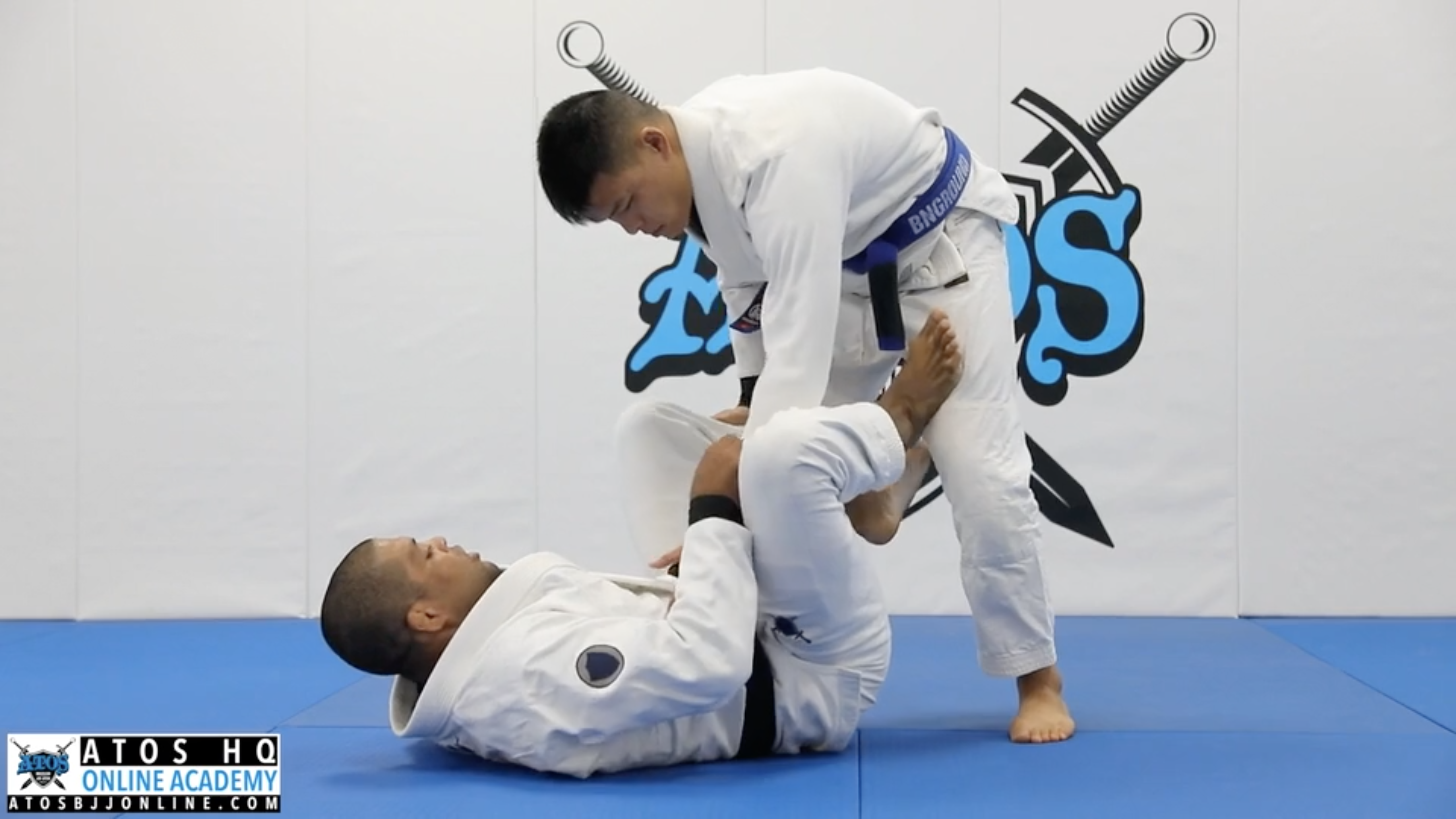 Concepts & Attack From DLR Lasso Guard