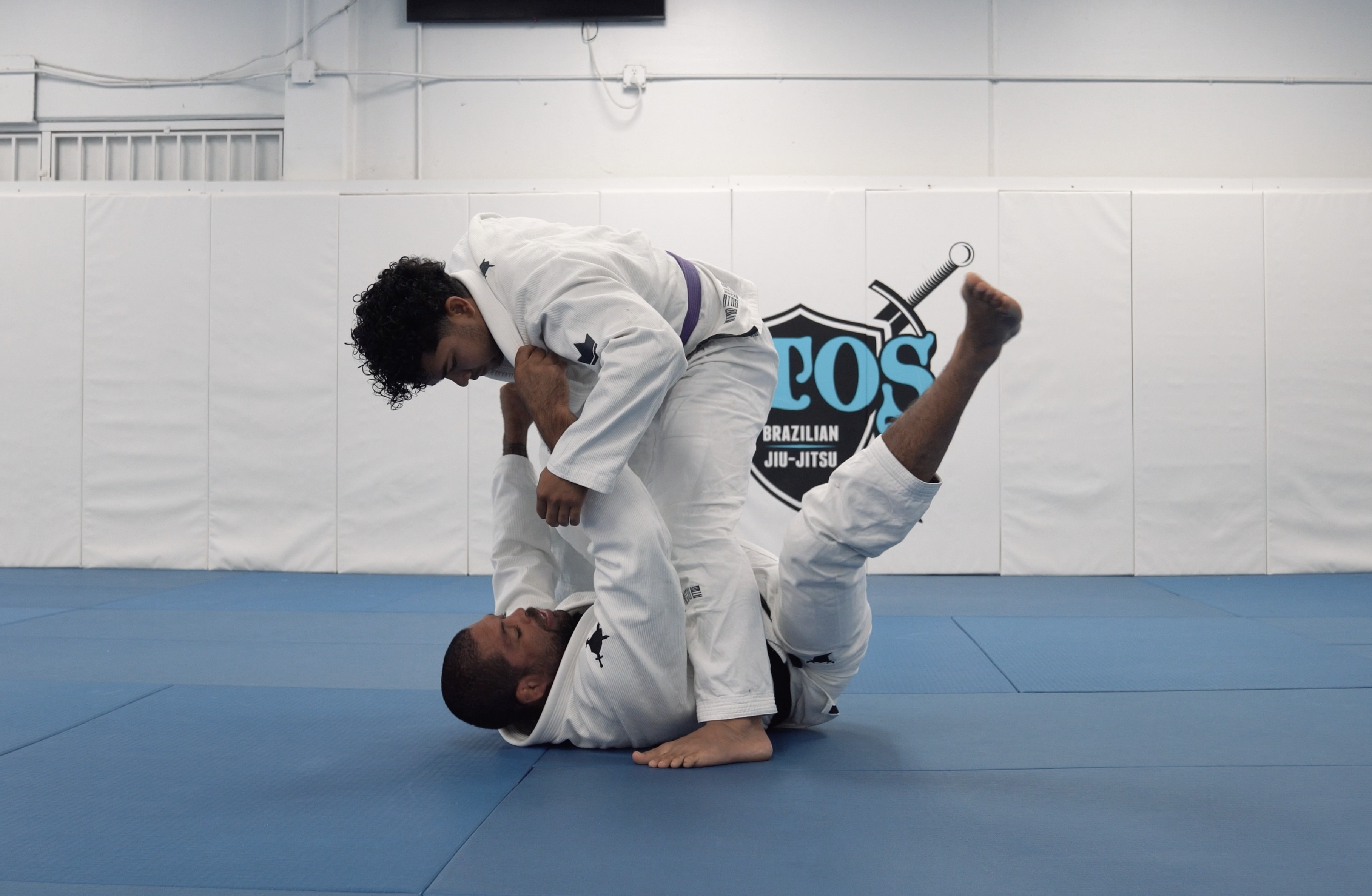 Tarantula Guard Attacks | Part 1