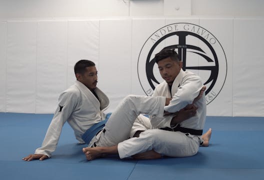 Foot Lock Study 