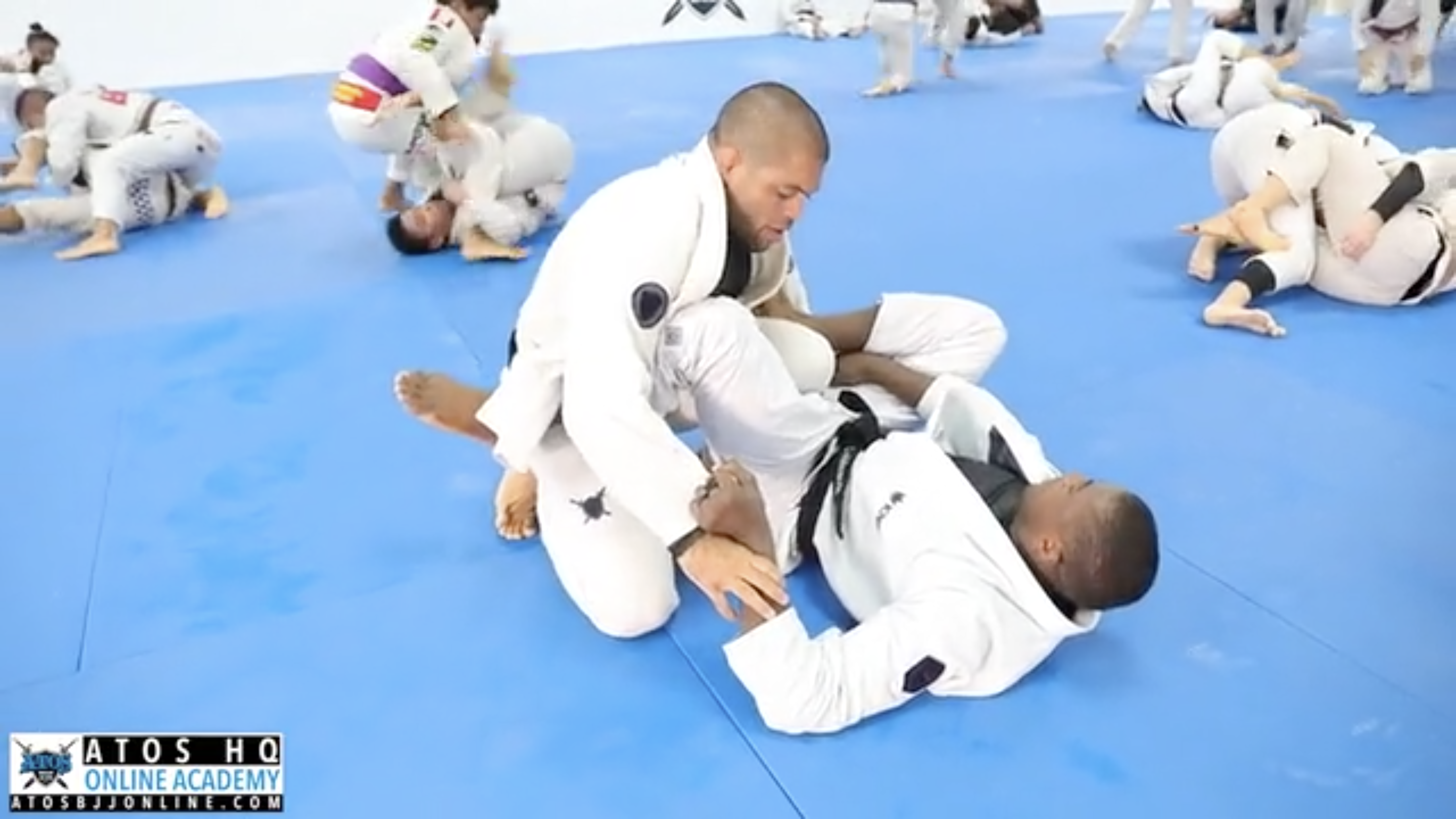 Andre Galvao vs Ronaldo Jr.