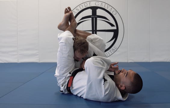 Shoulder Lock + Arm Bar From Closed G...