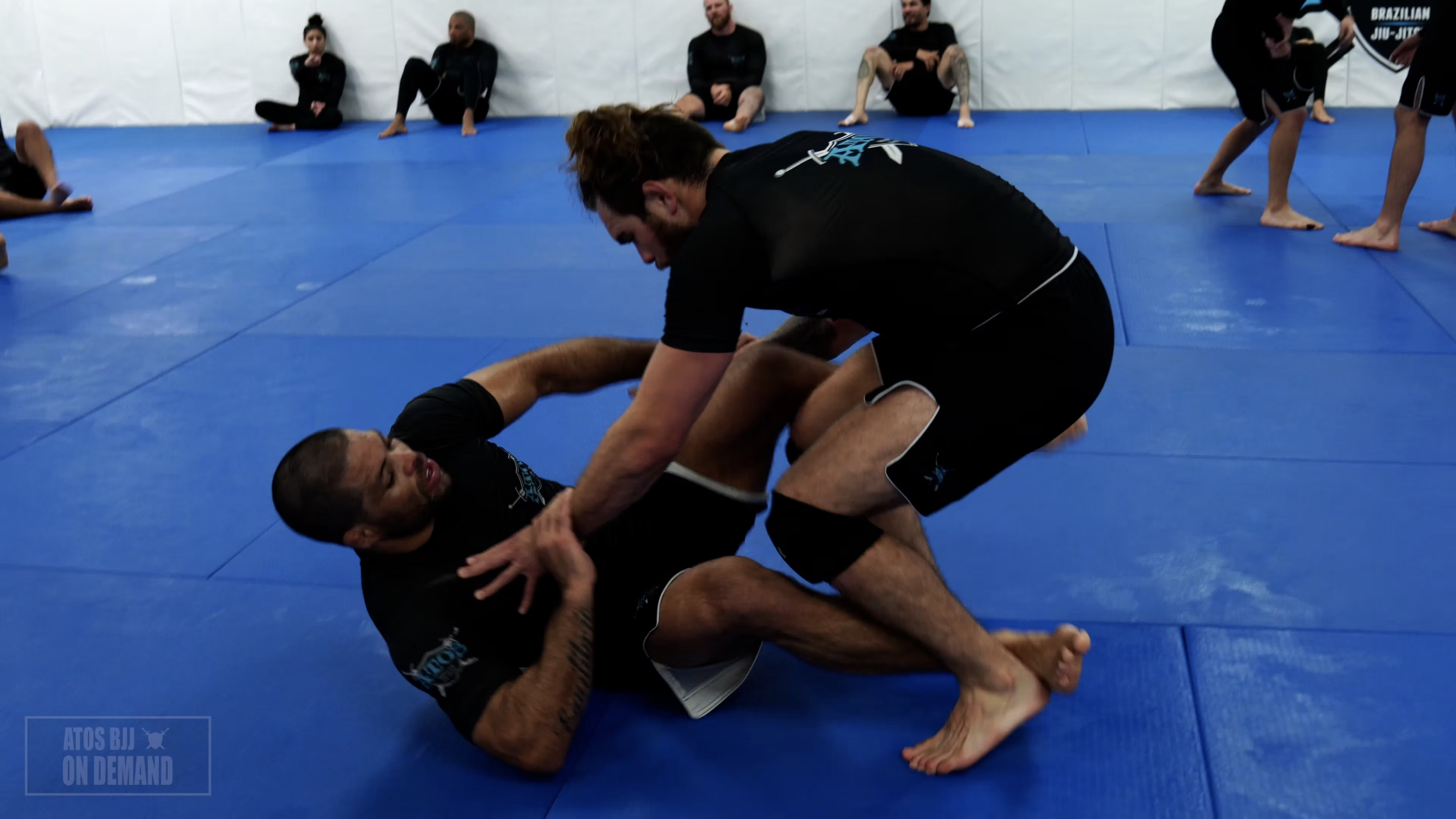 Andre Galvao vs Tyler Escoto