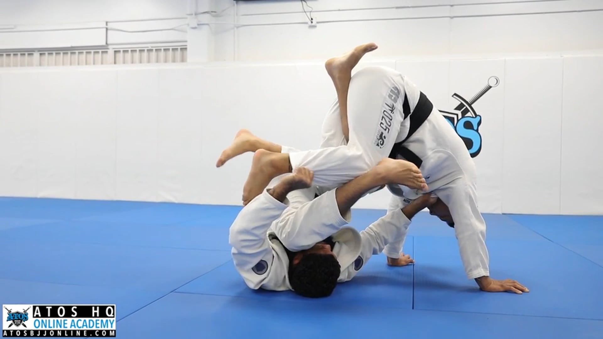 DLR Control Details + Leg Entanglement Sweep