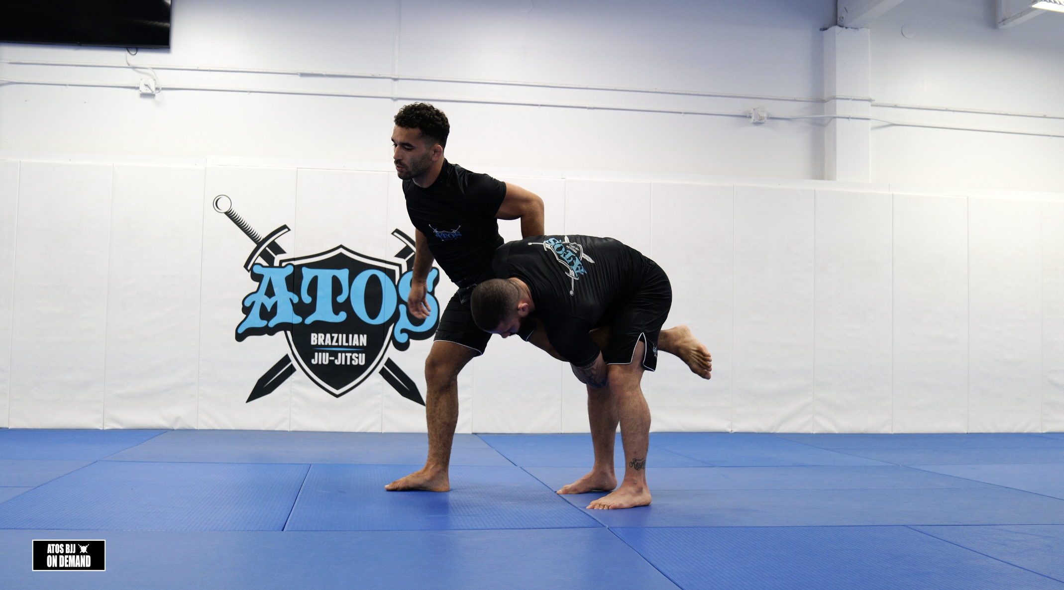 Single Leg Counter to Uchi Mata