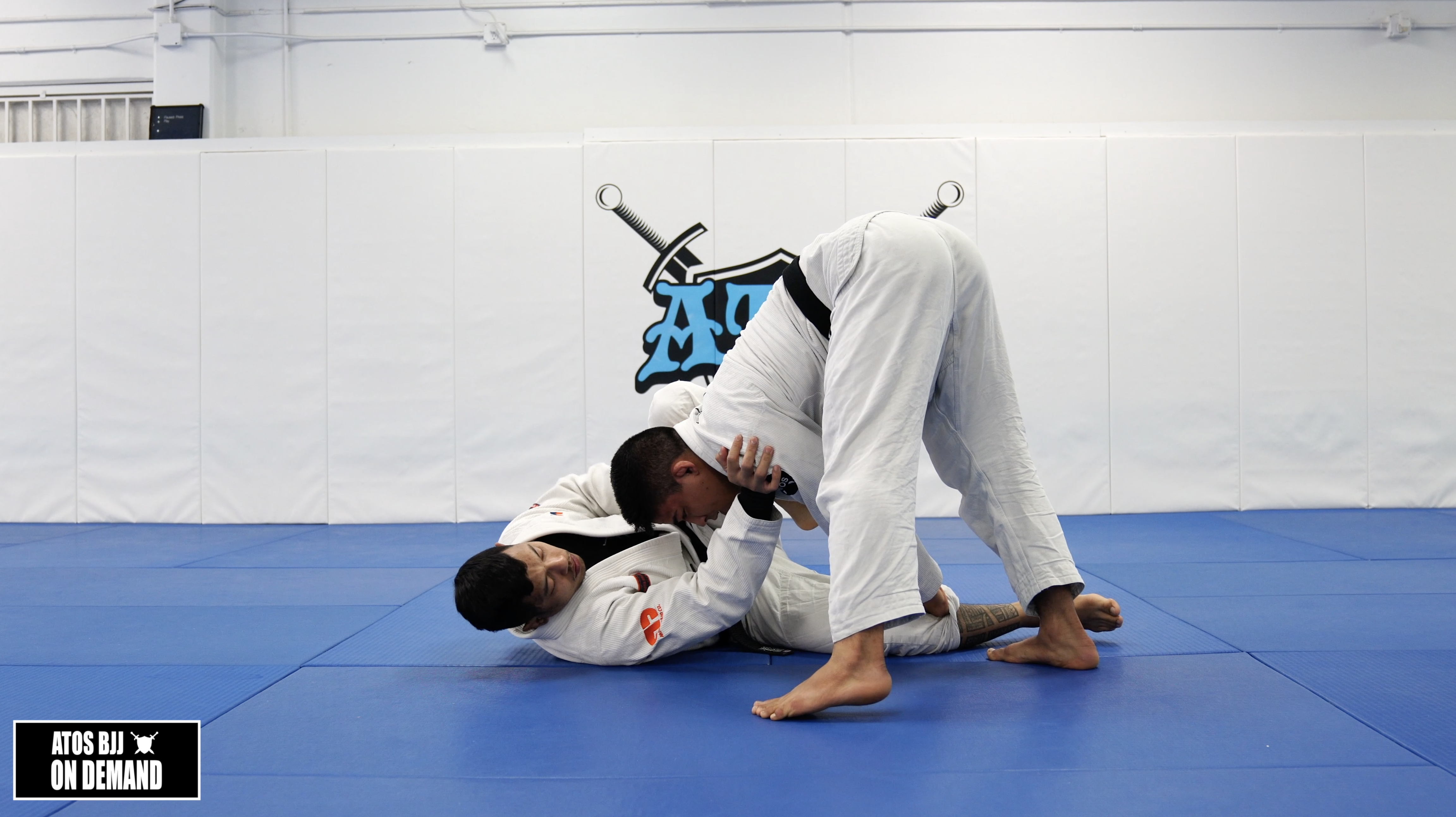 Leg Trap Guard Pass From DLR