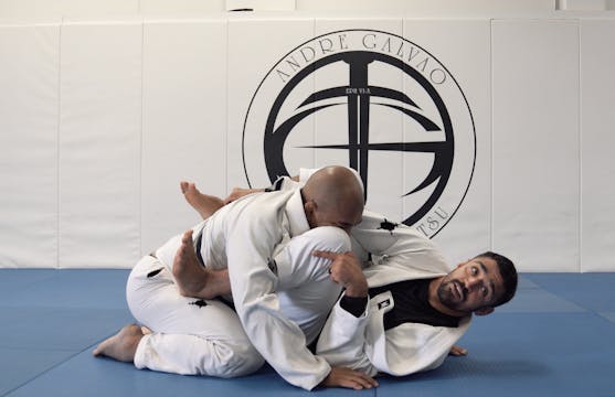 Triangle Controlling the Belt 