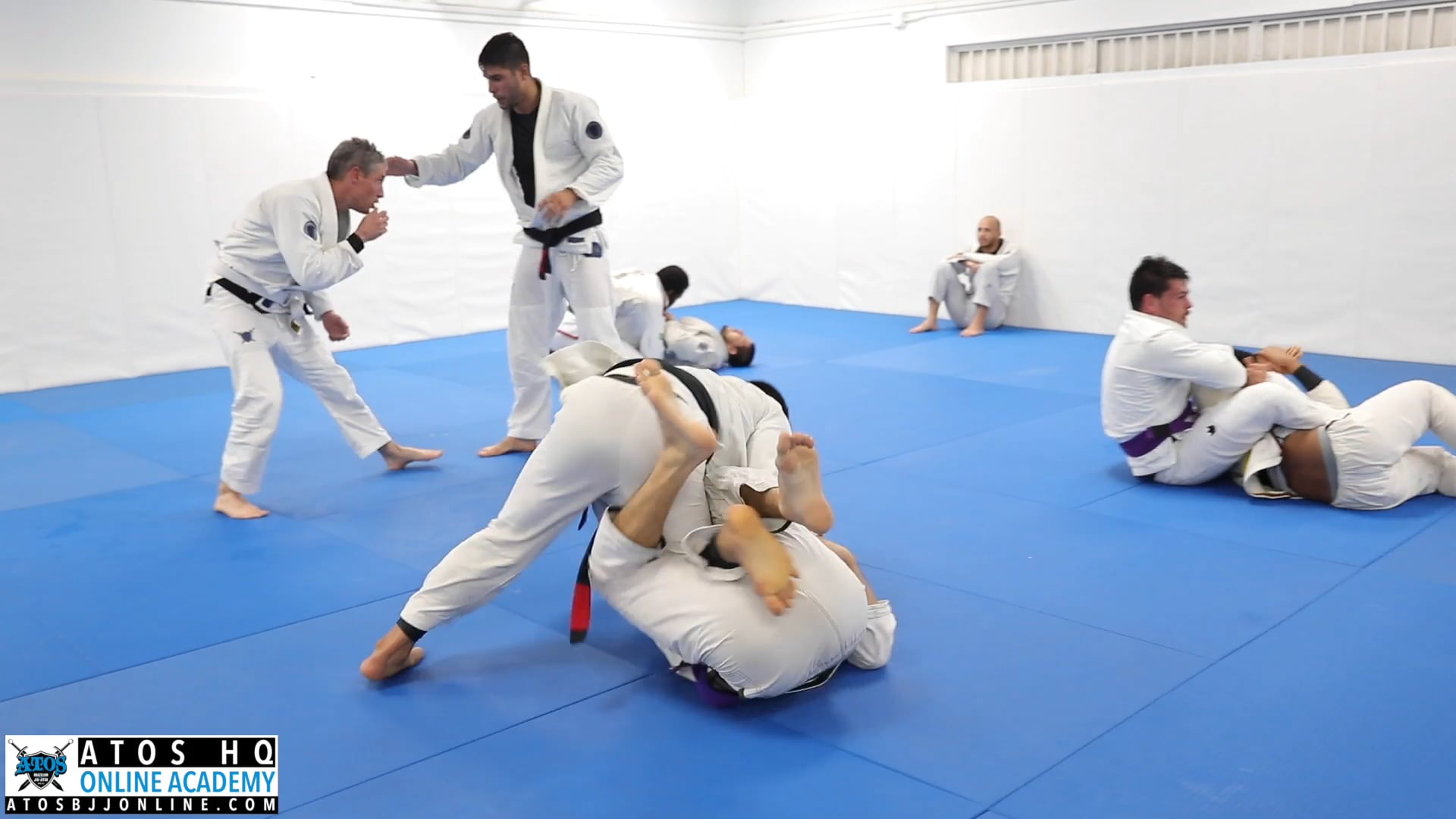 Double Gold Brown Belt Pan Champ Andy Murasaki vs Anthony Cumerlato 