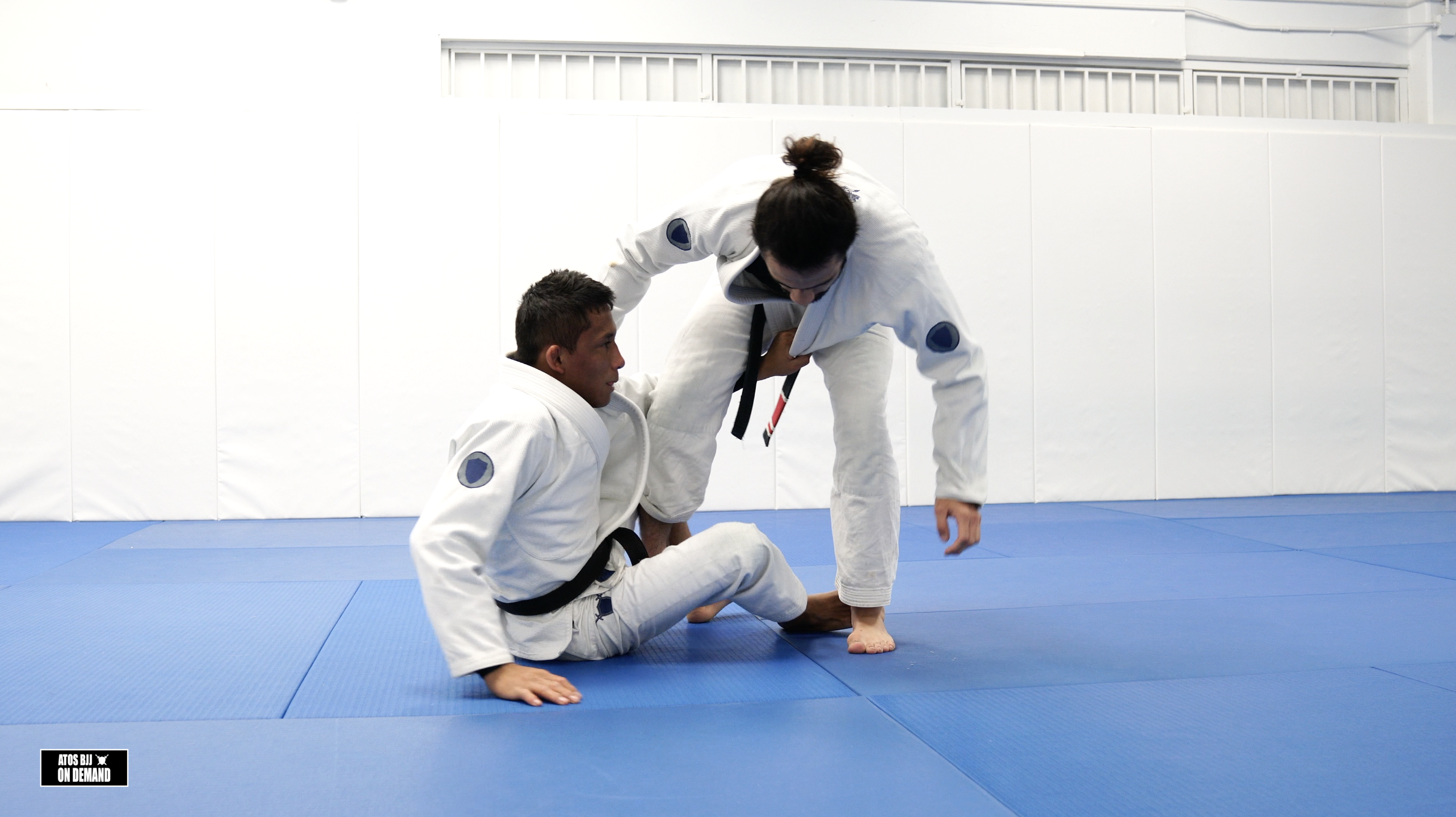 De La Riva Sweep Using the Lapel | Kids Class