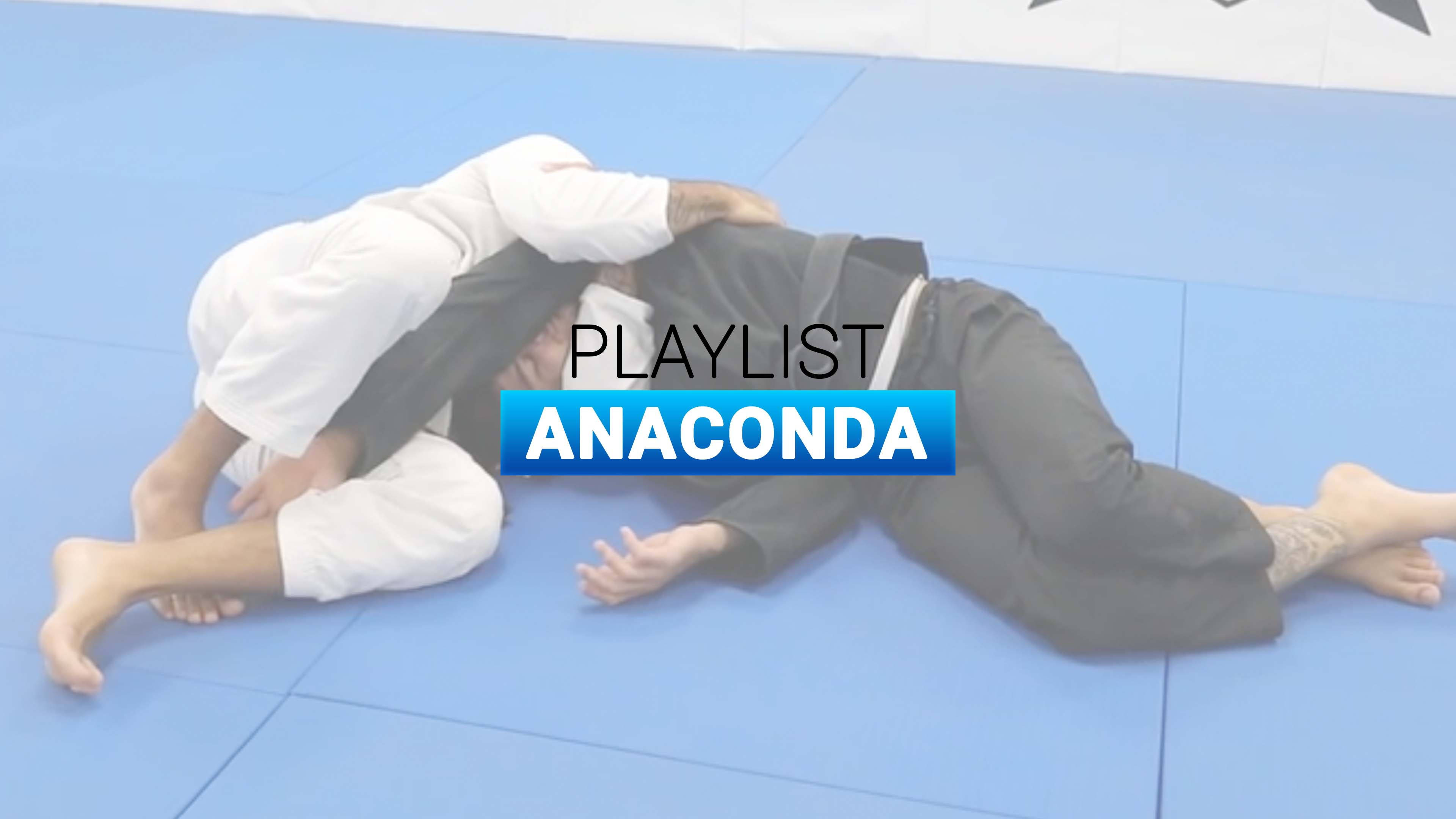 Anaconda