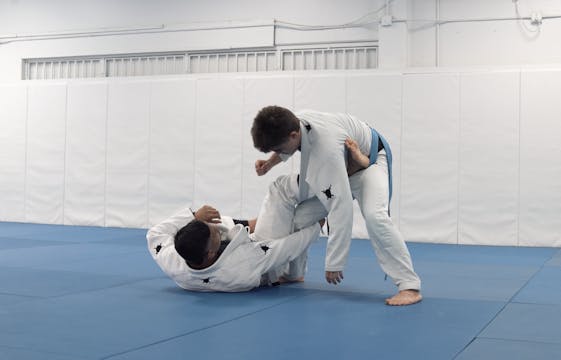 Squid Guard to Hog Tie Sweep