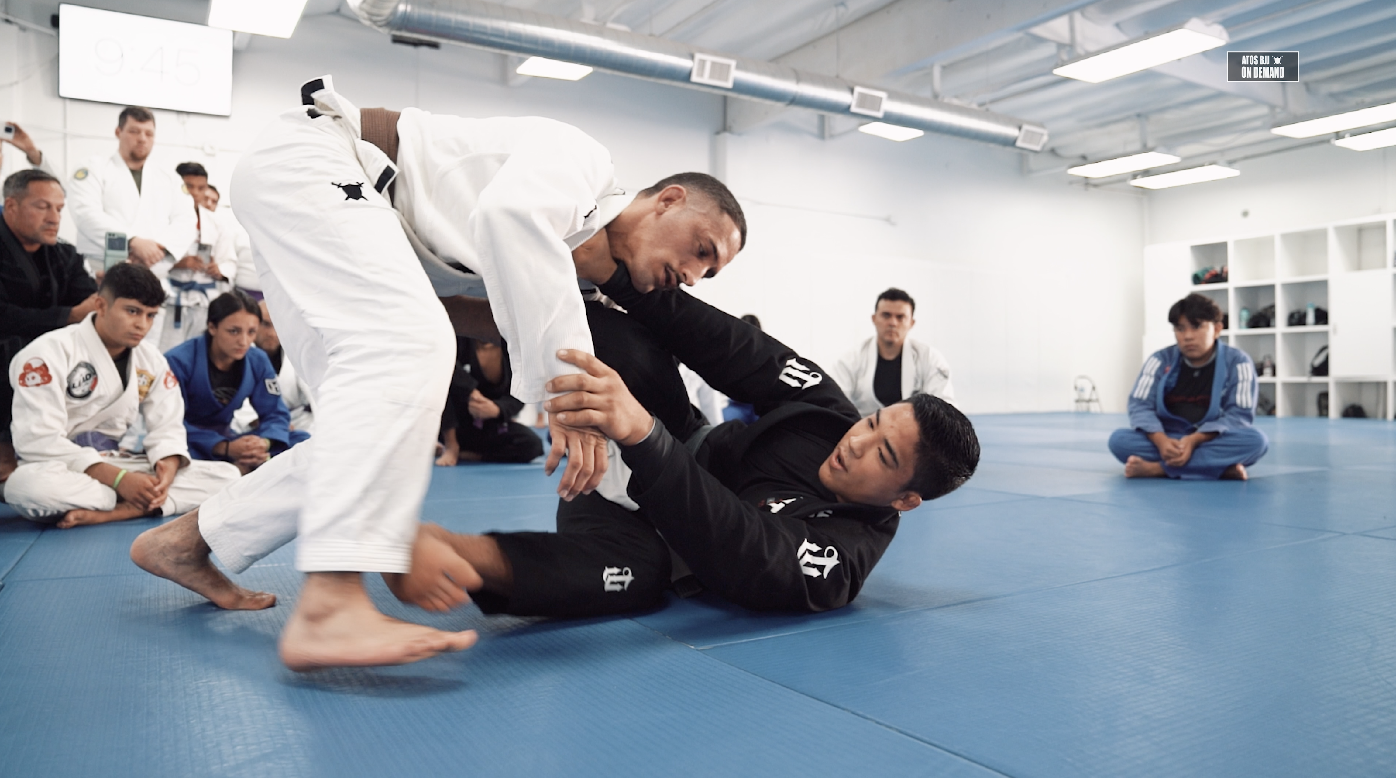 Single Leg X Entry Professor by Andy Murasaki