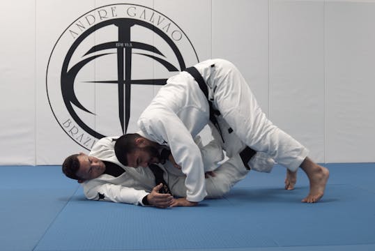Half Guard Knee Shield Pass