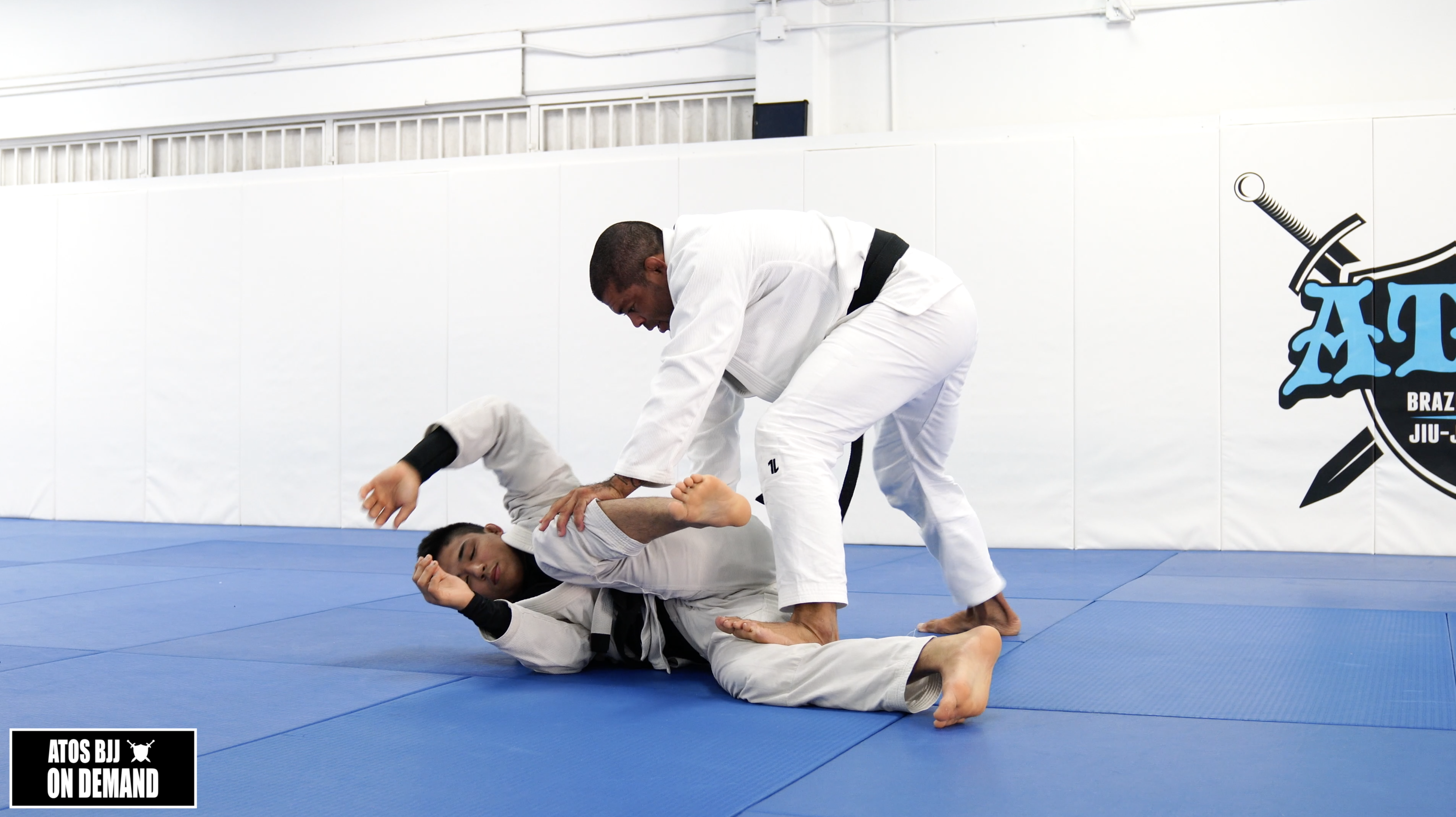 Leg Pin Pass With Reverse Toreando