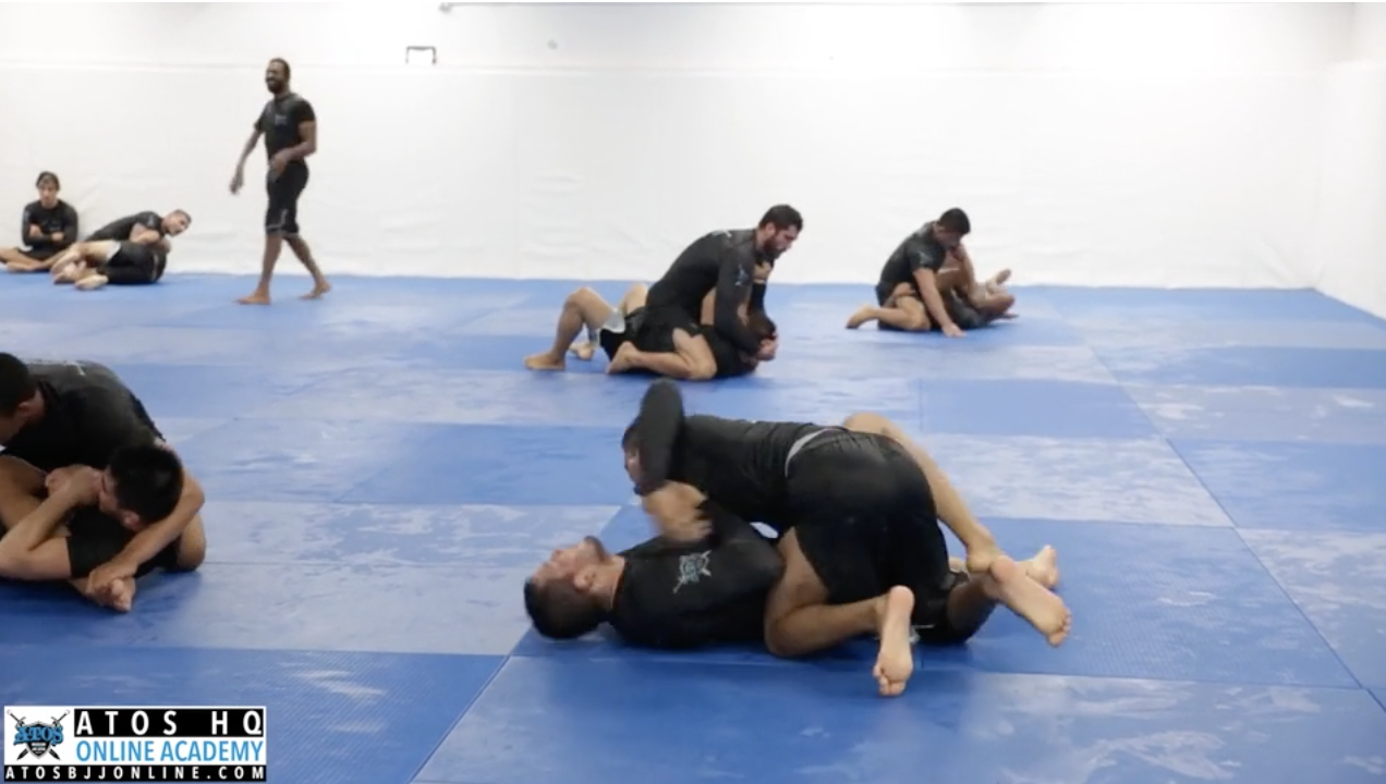 Lucas Barbosa vs Ricky Briceno (brown)