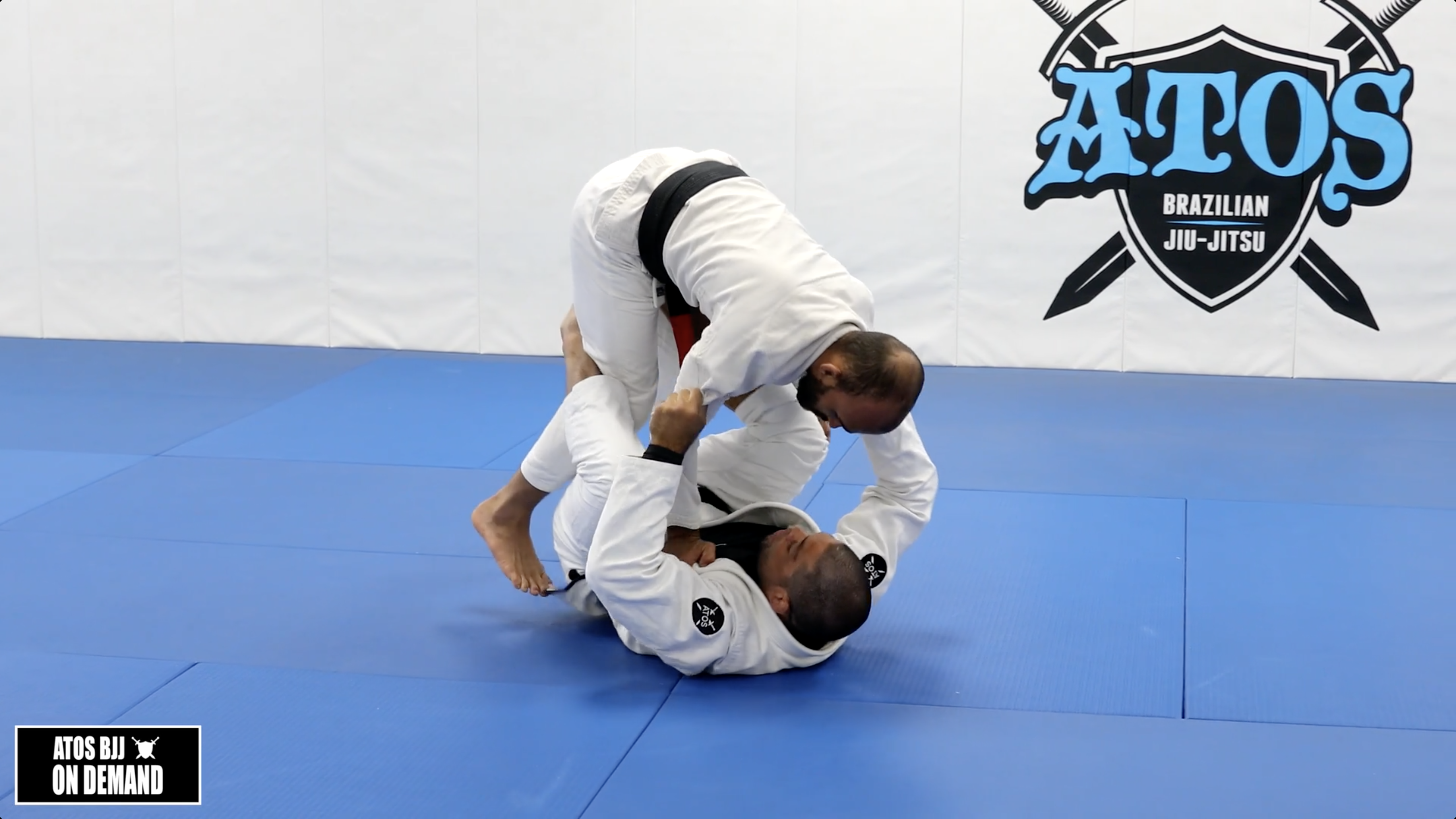 Overhead DLR Sweep with Variations to Armbar & Triangle Details 