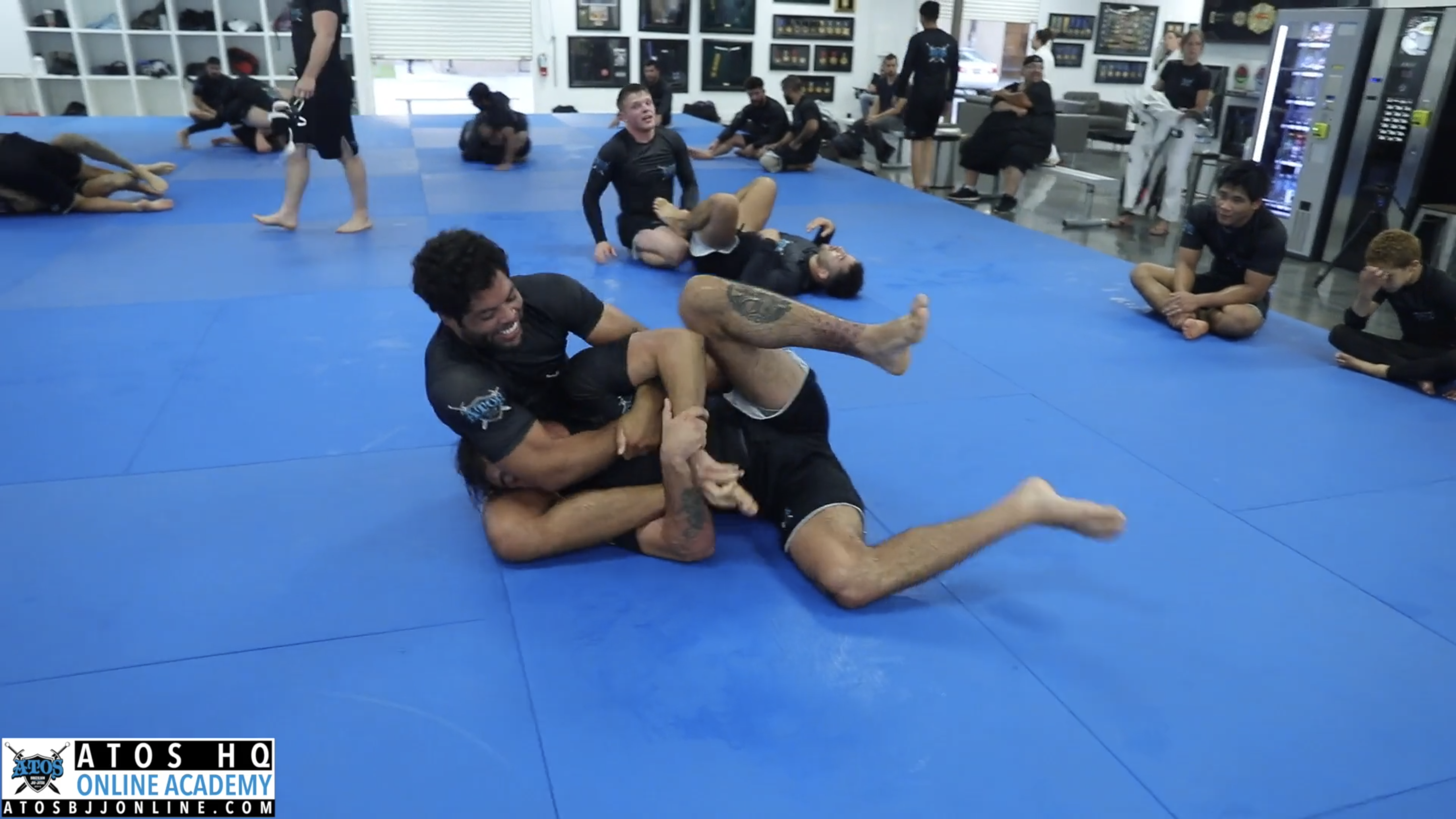 Andre Galvao Rolling With One Of His Brown Belts Calon Sabino