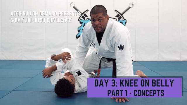 Day #3: Knee On Belly - Part 1 - Conc...