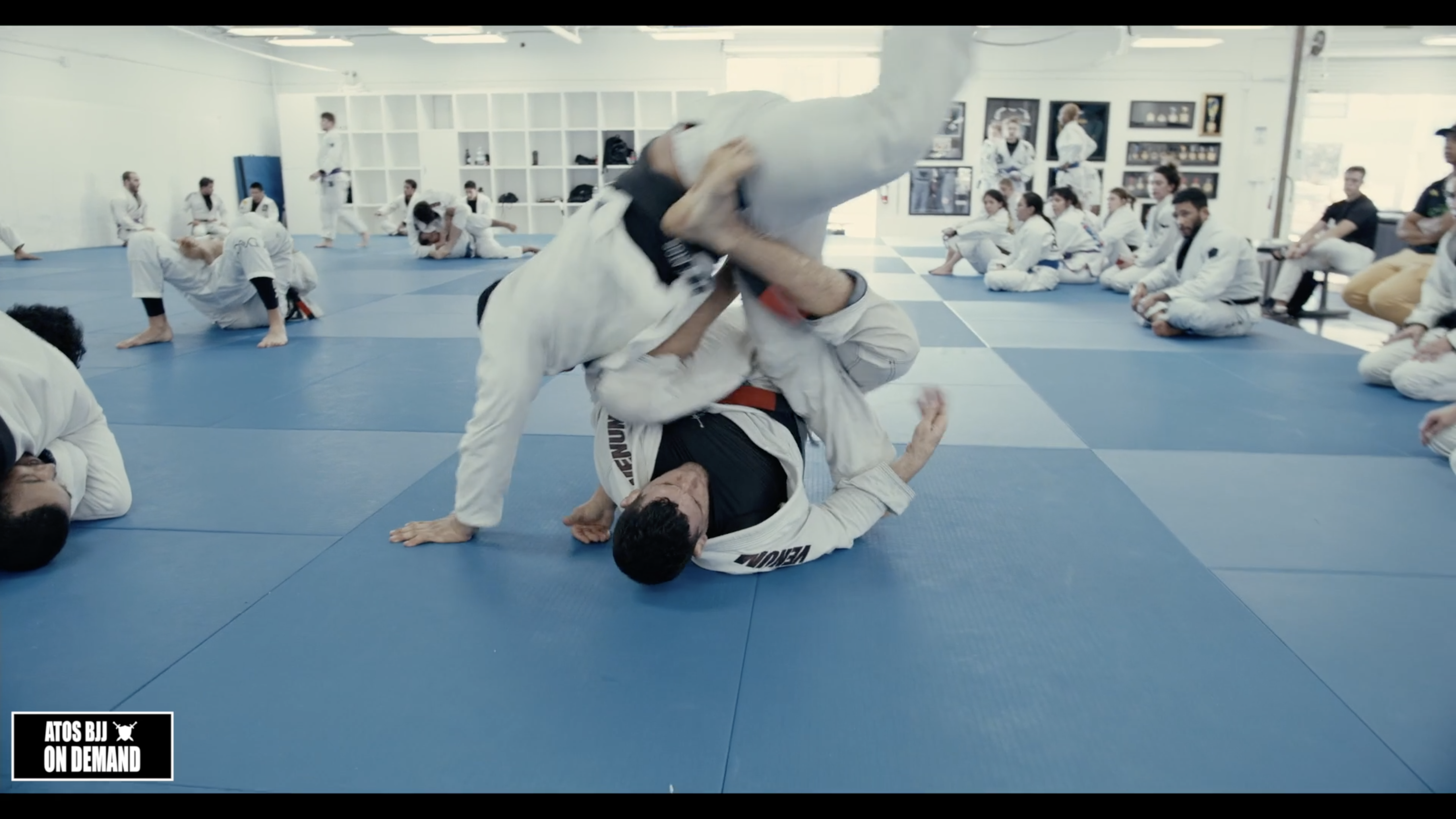 Andy Murasaki Working Single Lex X Defense