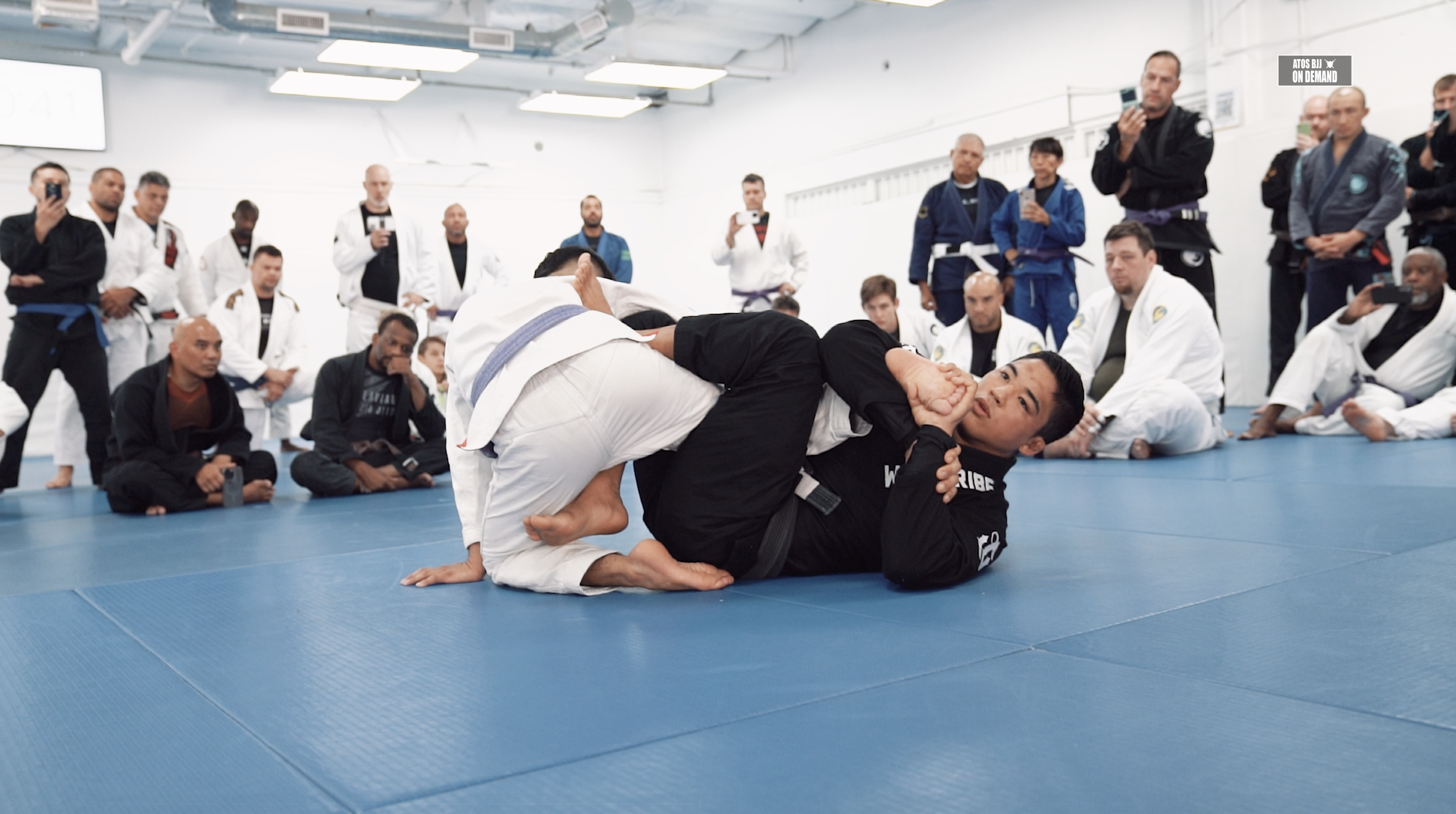 Single Leg X Toe Hold Professor by Andy Murasaki