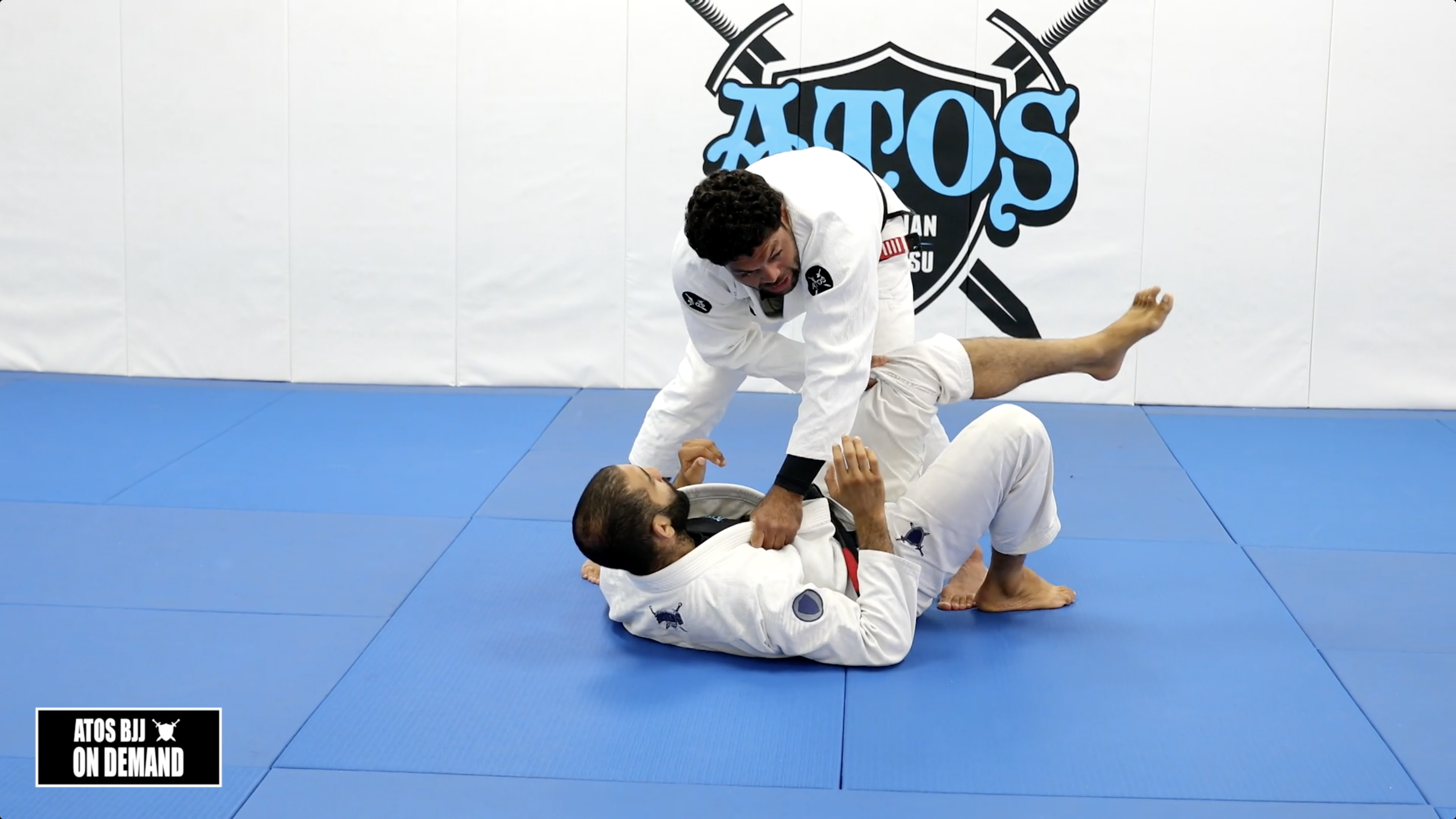 Collar & Pants Toreando Pass Concepts