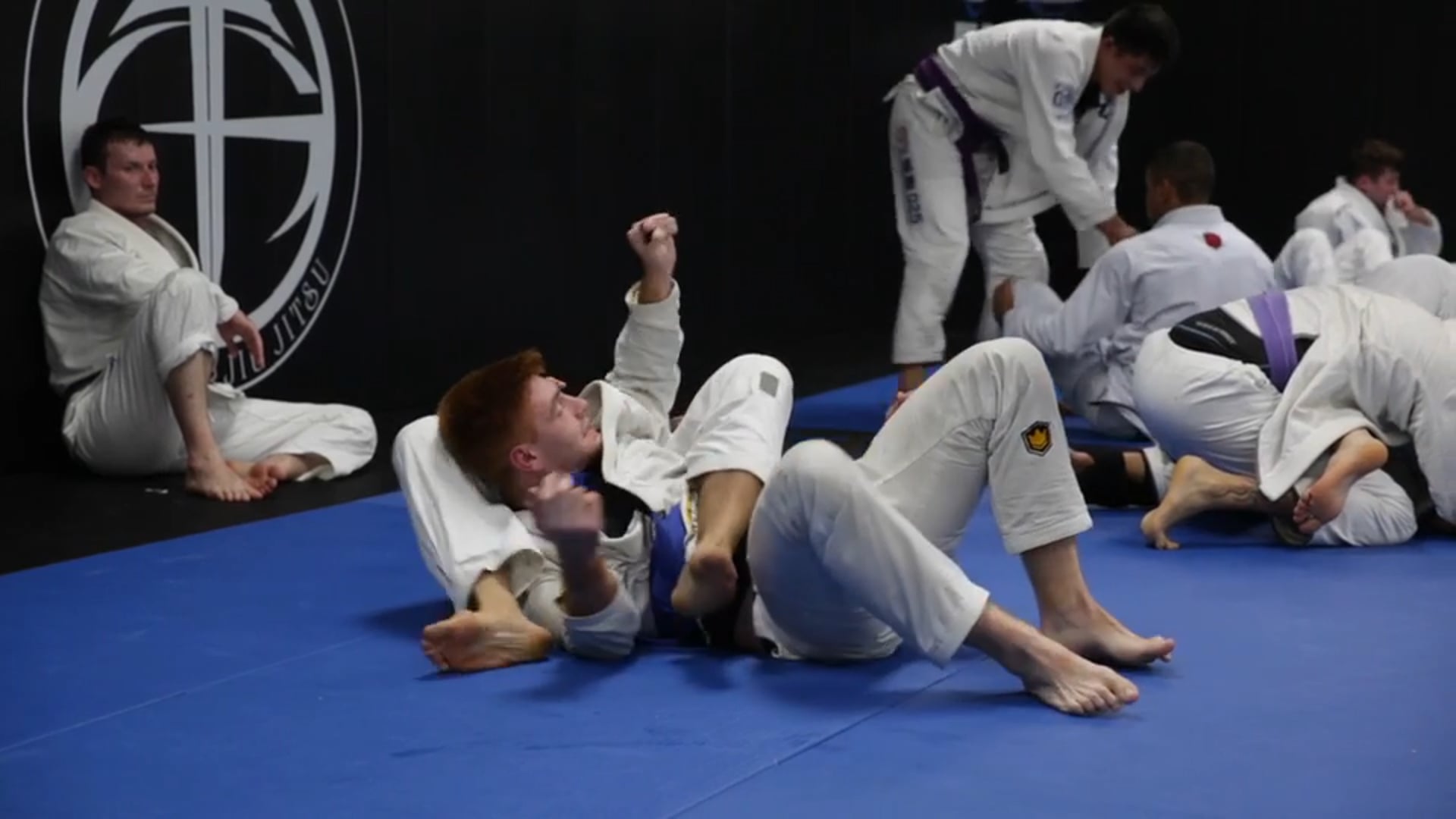 Sparring - professor Andre Galvao with a blue belt mar 23th 6pm