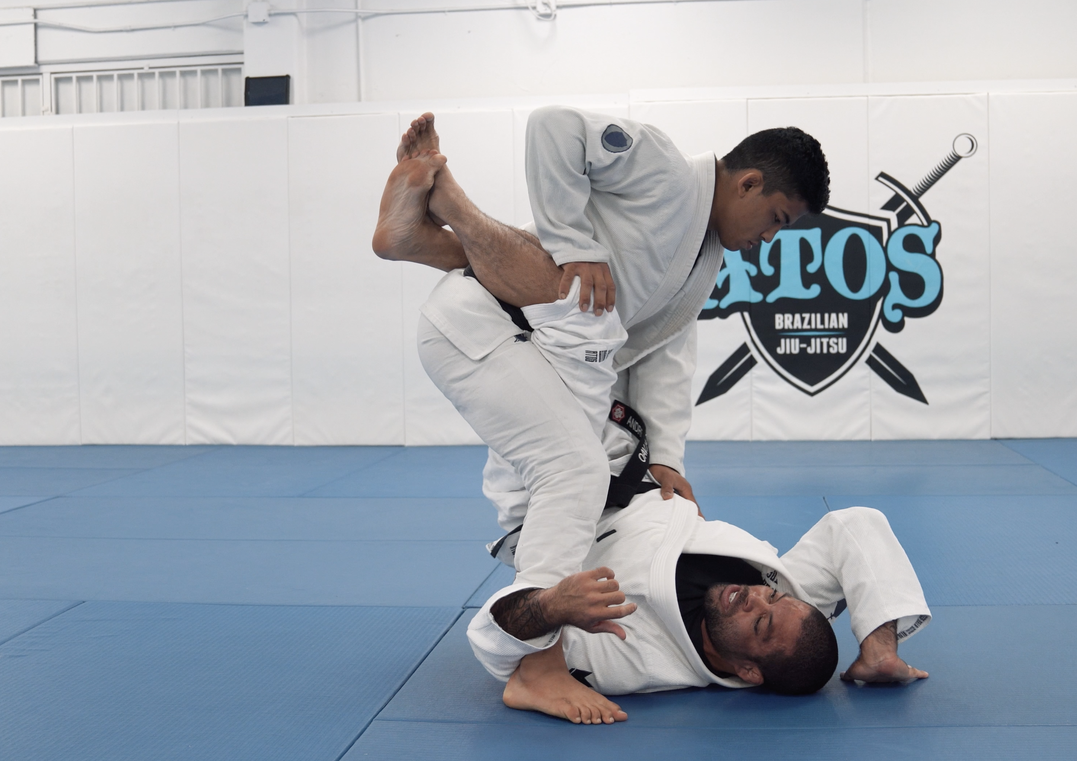 Muscle Sweep Details | Part 2