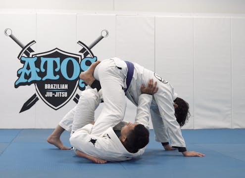 Saddle Review With Bear Trap | Part 1