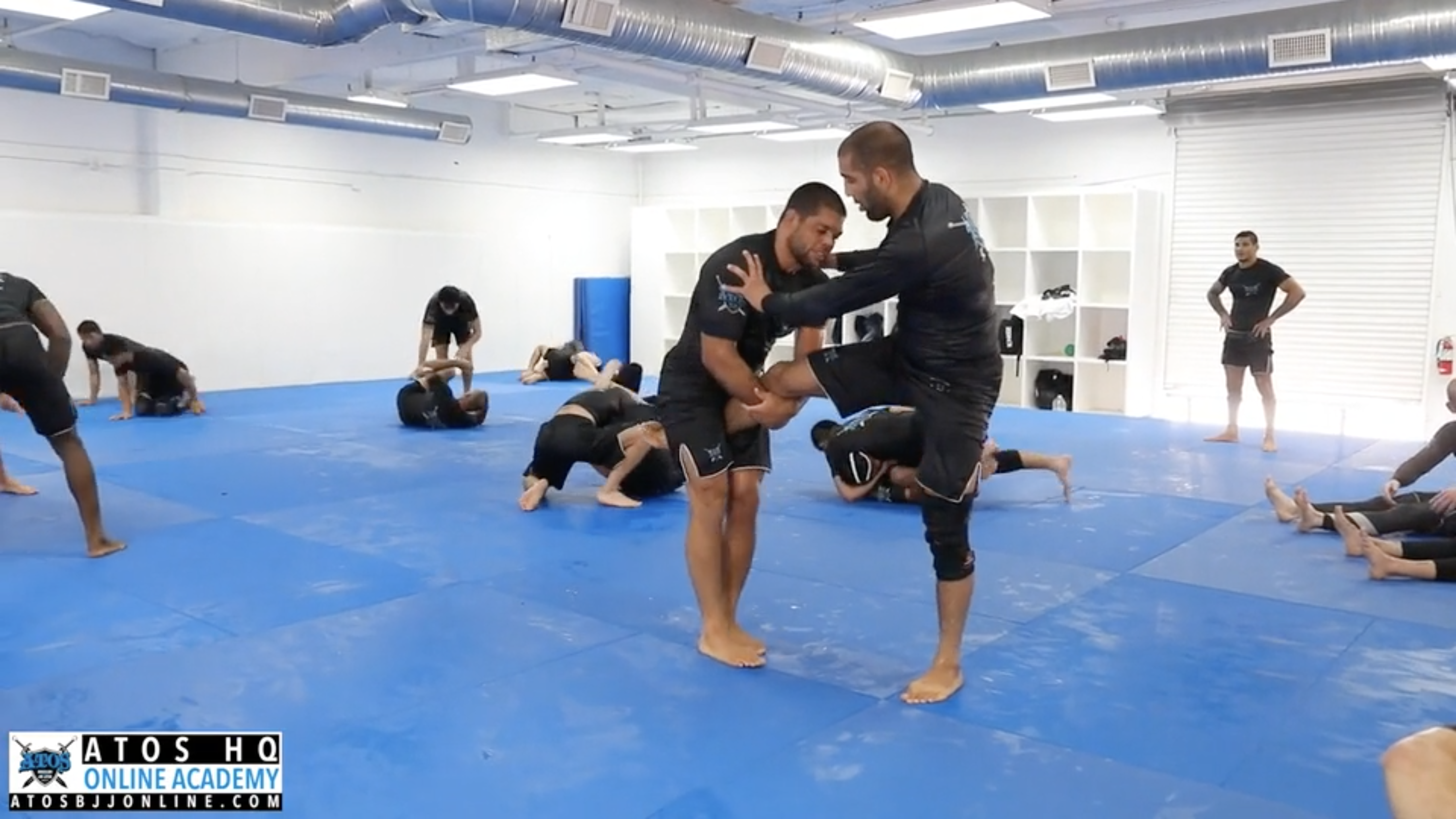 Andre Galvao vs Nisar Loynab