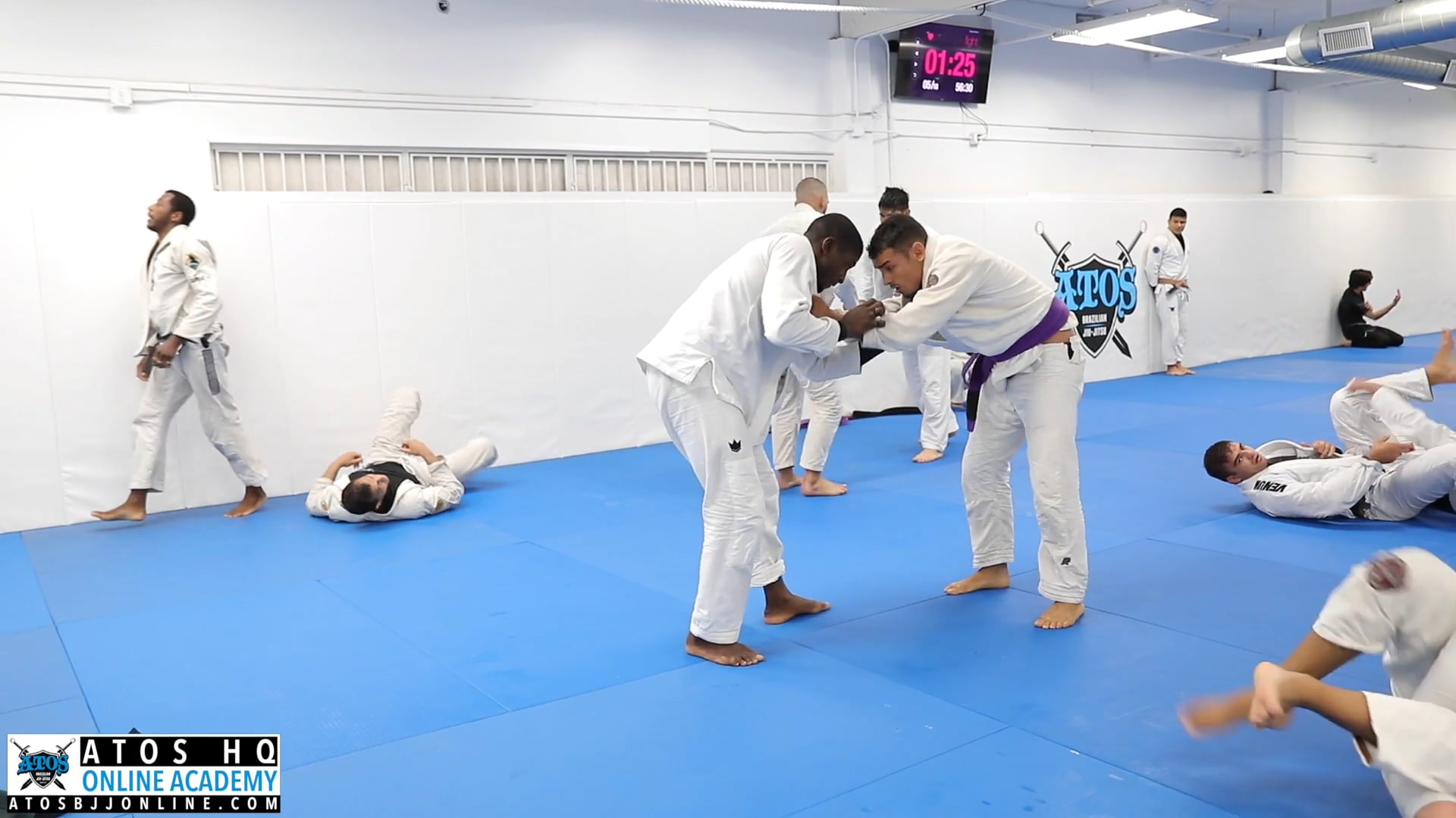 Pan Champion Ronaldo Jr. vs Daniel Sathler (Purple Belt)