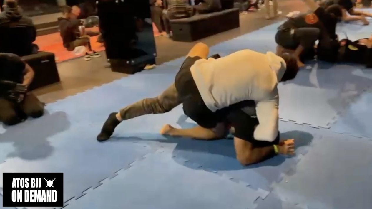 You Are The Reflex From What You Study & Practice!