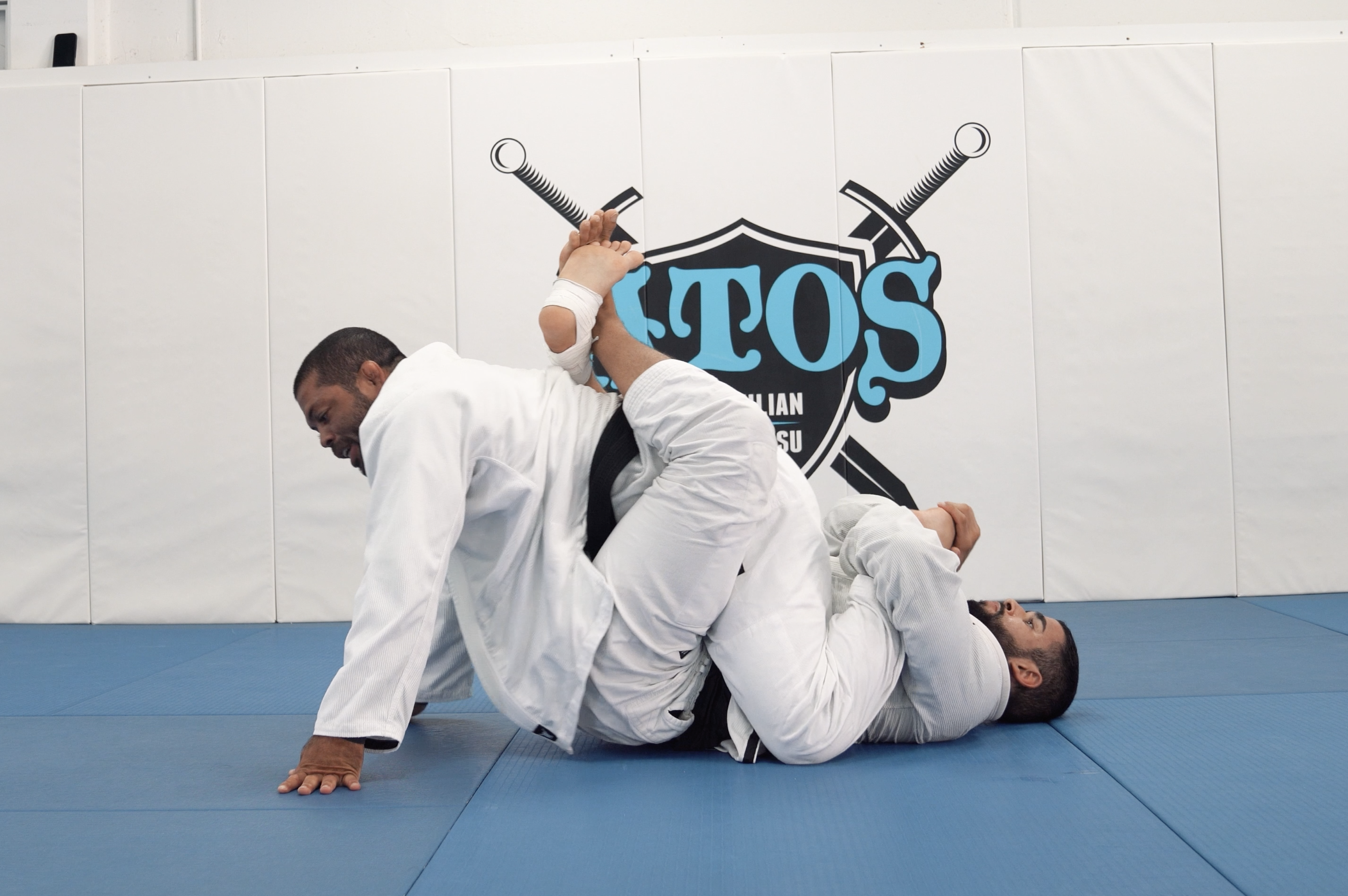 Donkey Guard Counter Attack