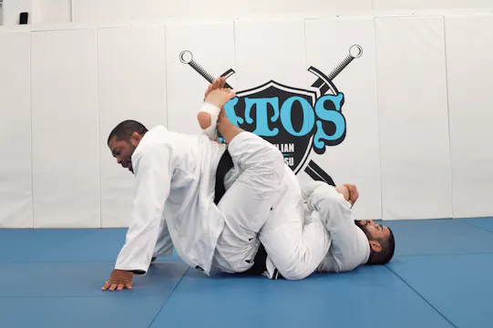Donkey Guard Counter Attack