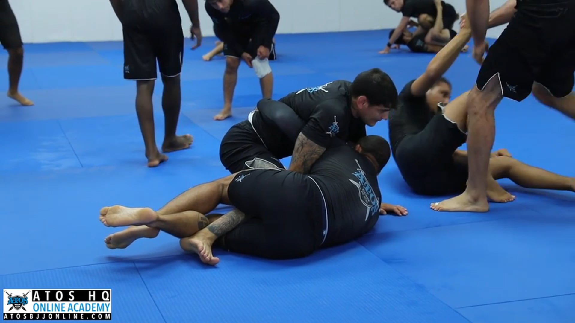 Andre Galvao vs Jonnatas Gracie