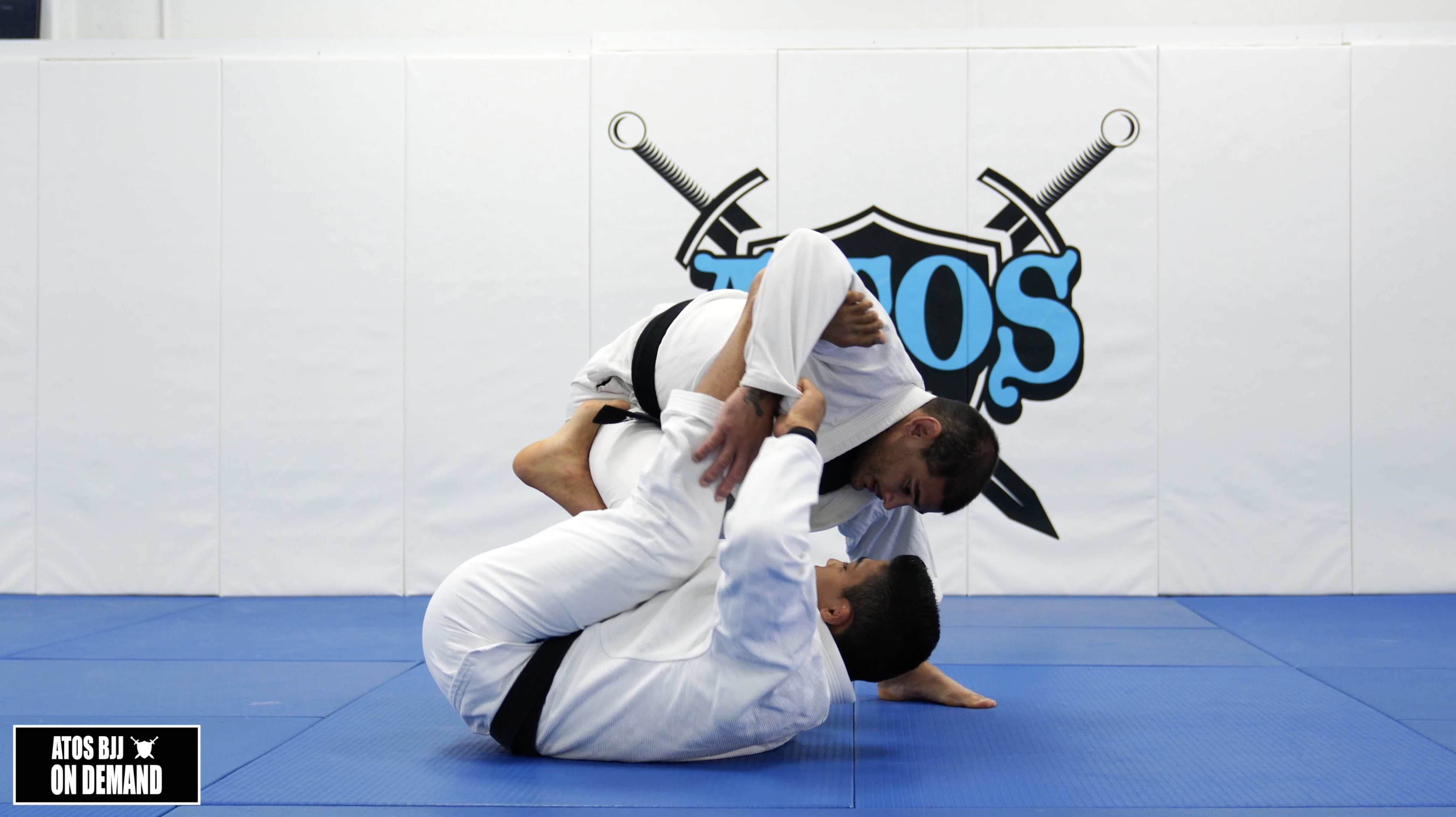 Spider Guard Tornado Sweep & Back Take