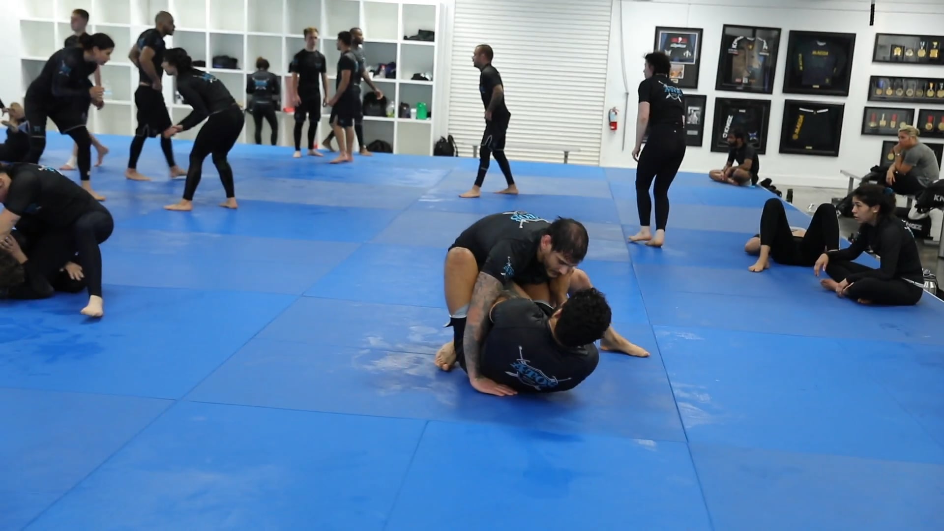 Andre Galvao vs Jonnatas Gracie 